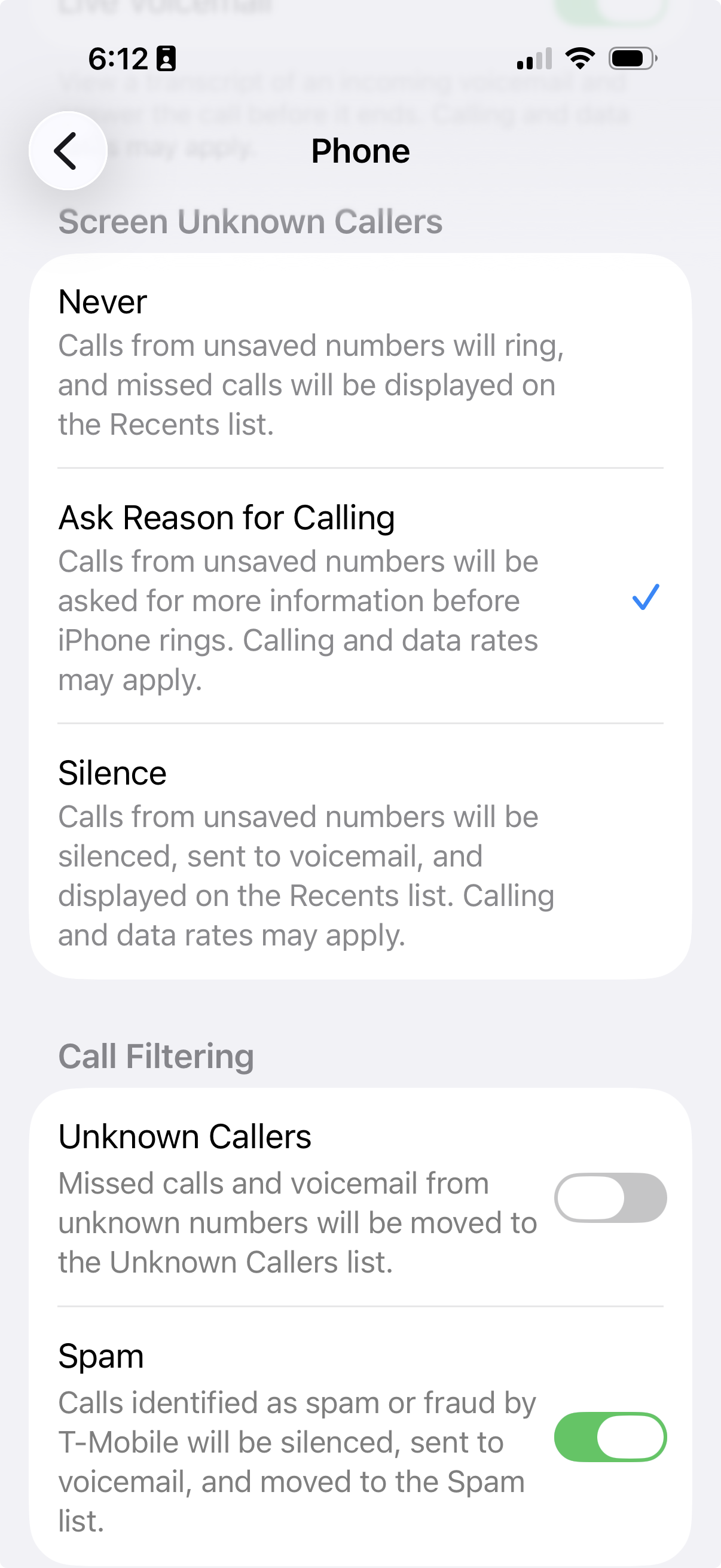 A visual image of how to activate the setting on iPhone