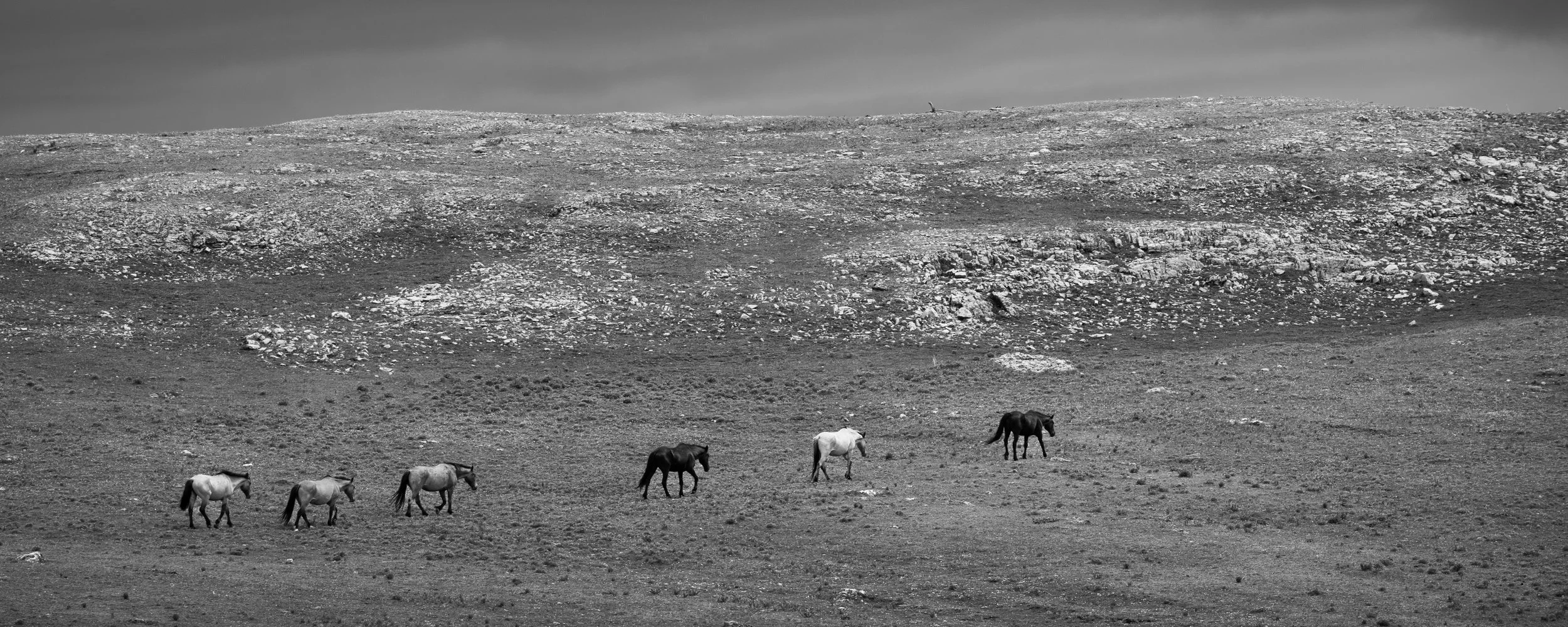 4X0A8297.jpg