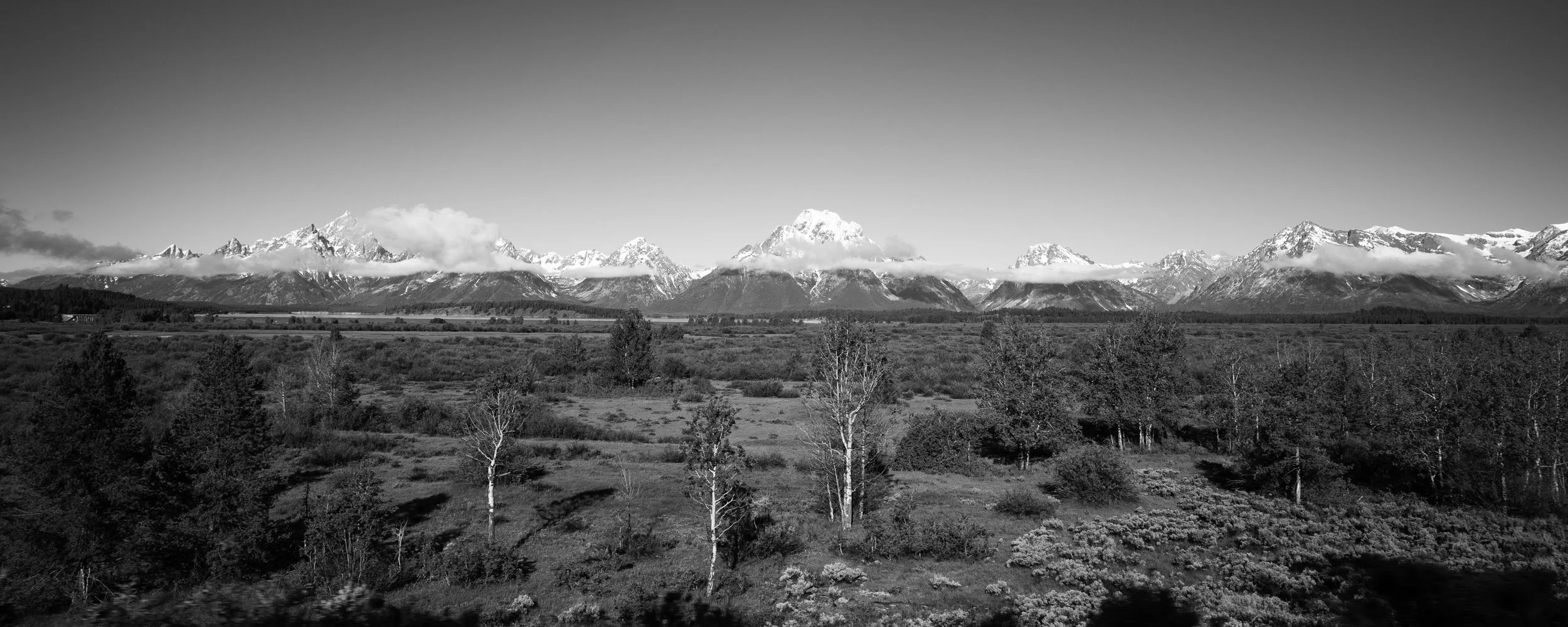 4X0A9525.jpg