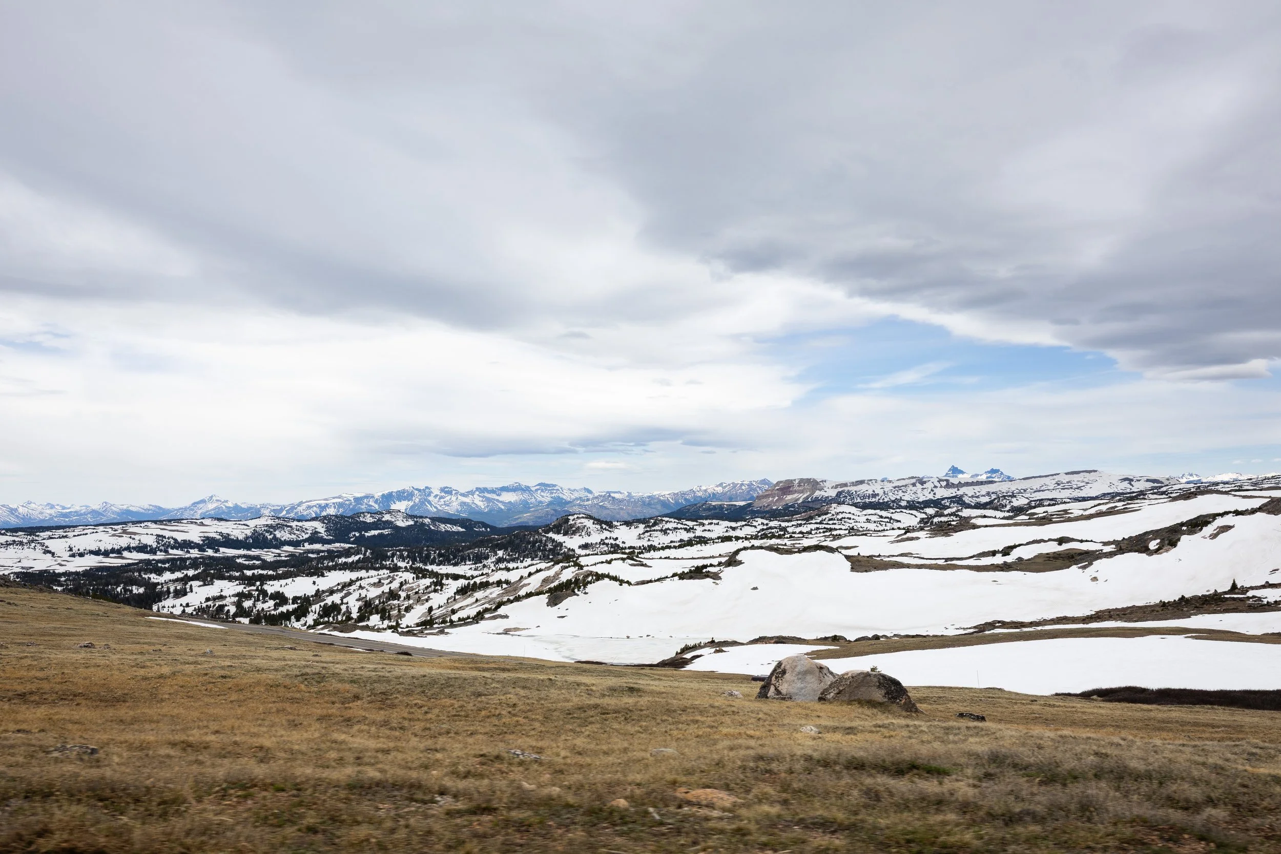 4X0A8179.jpg