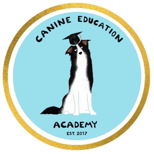 online puppy training course