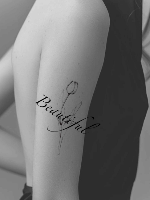 Captura de pantalla 2026-01-10 212713.png