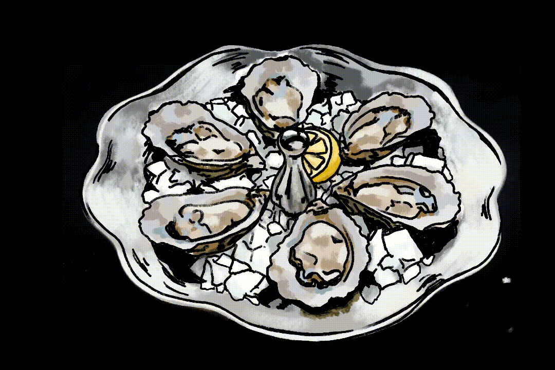 OysterIllustration_1.gif
