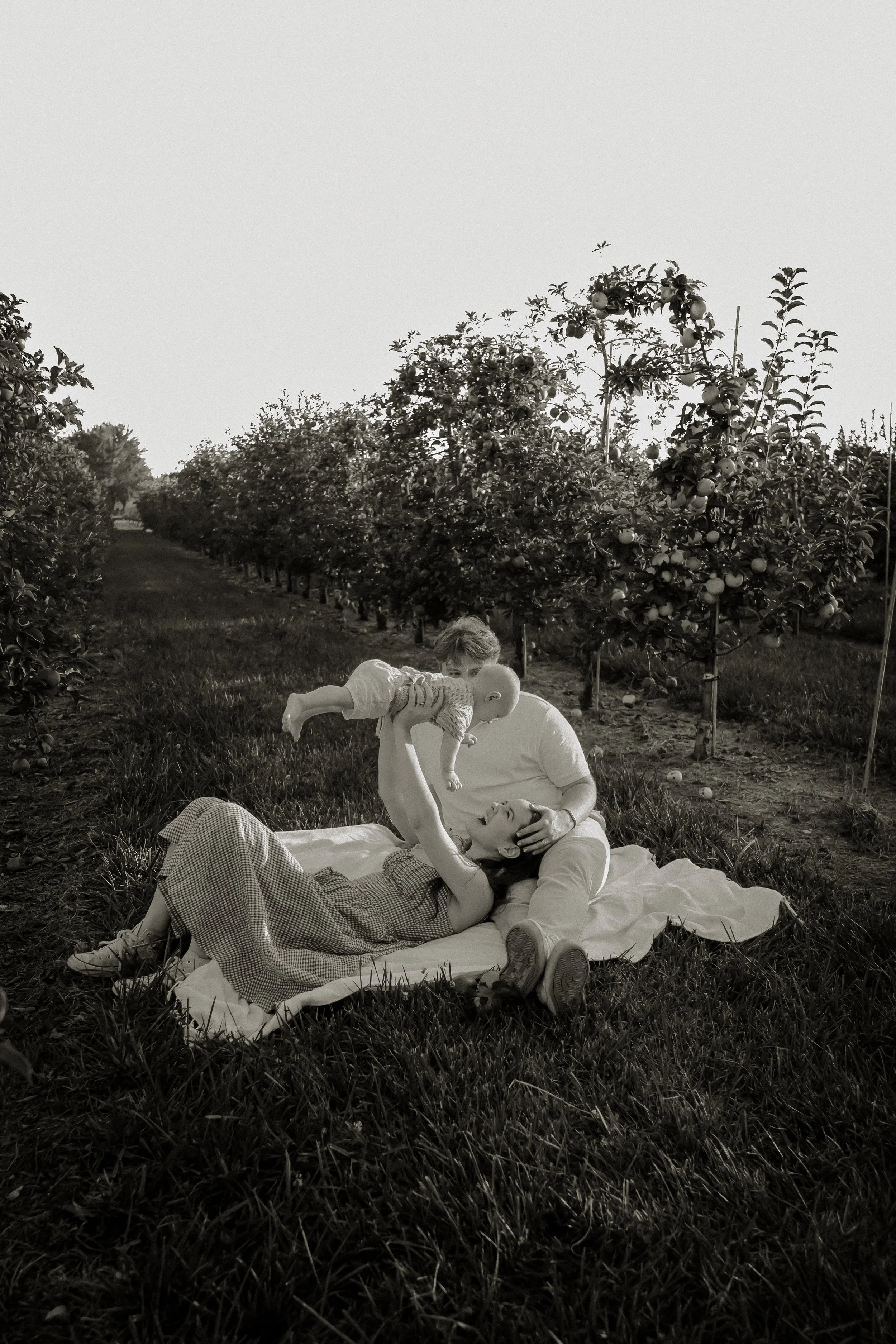 A family of three, including a woman, a man, and a toddler, enjoying a picnic on a blanket in an apple orchard during the daytime.
