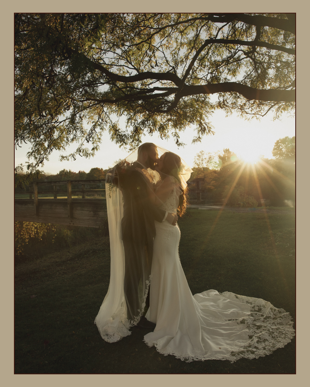 A bride and groom embrace under a tree during sunset, with the sun in the background casting a warm glow.