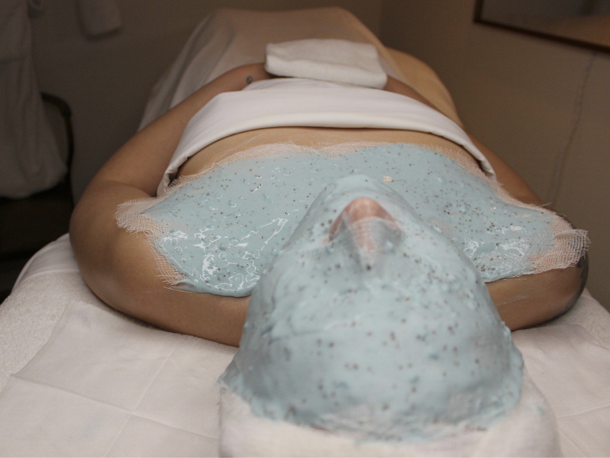 the protection shield.jpg