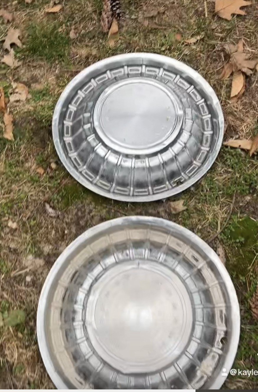 Two upside-down aluminum pie pans on grass with fallen leaves.
