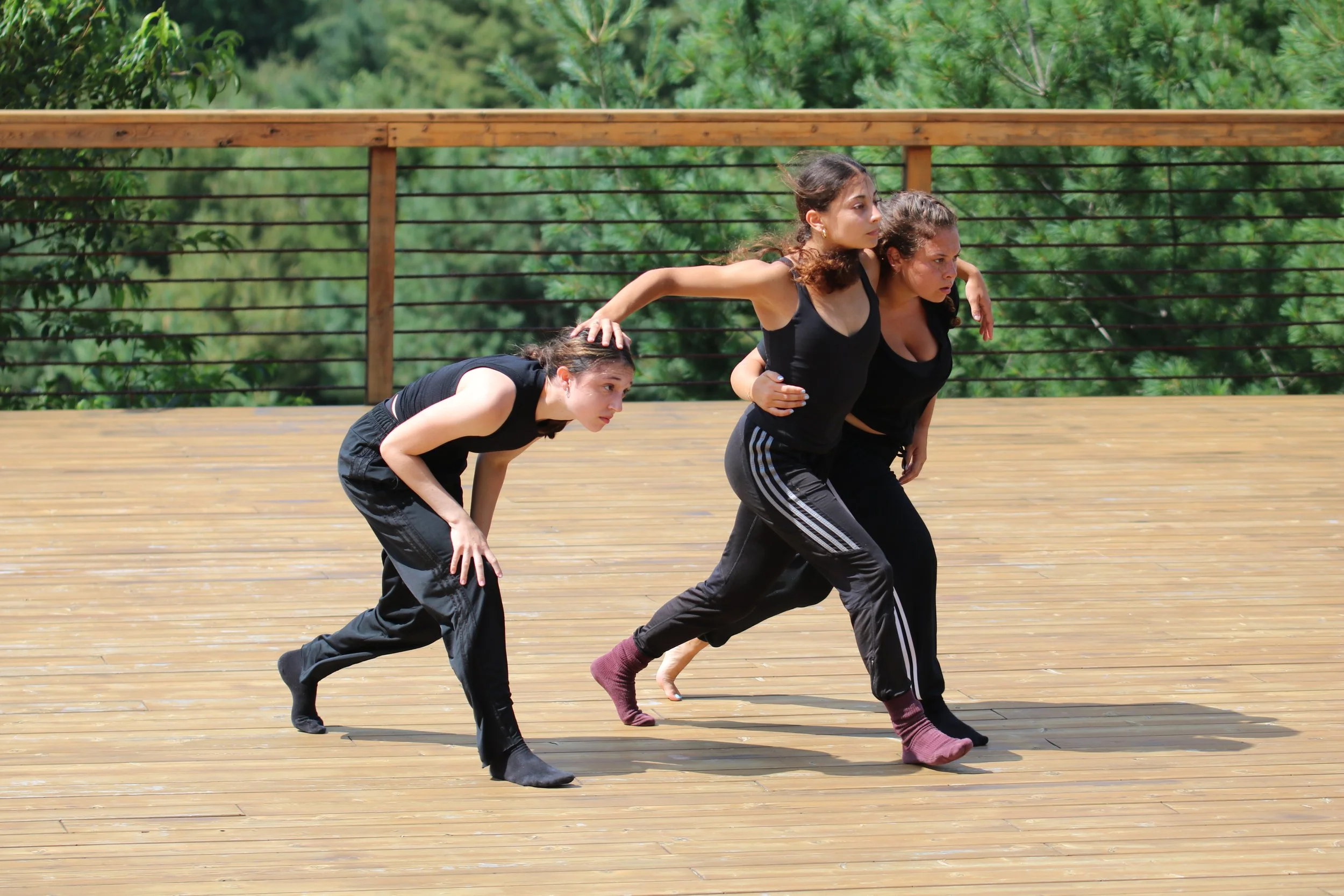 RADicle Residency 2024