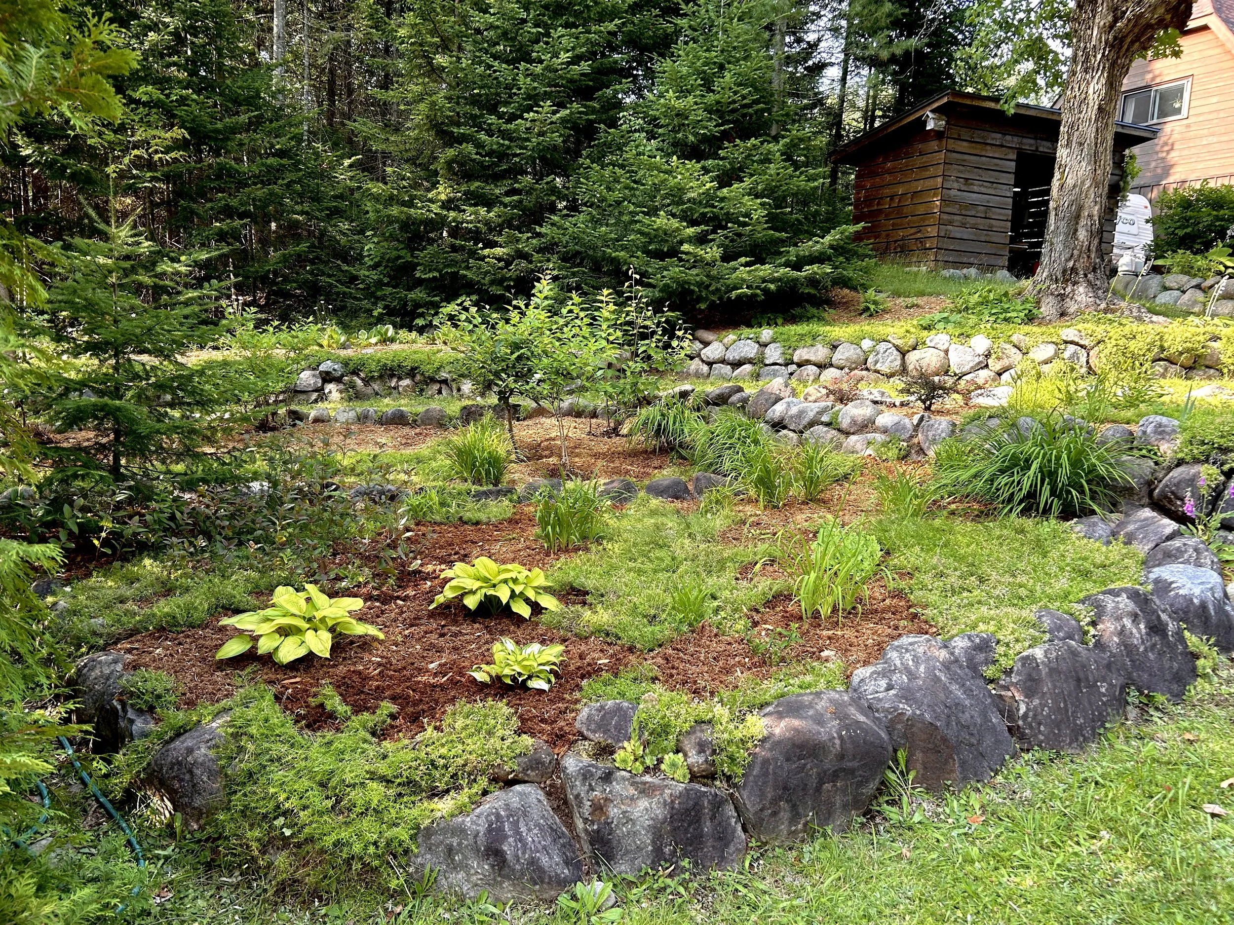 Jardin avec des plantes et arbres, entouré de pierres, et un cabanon en arrière-plan.