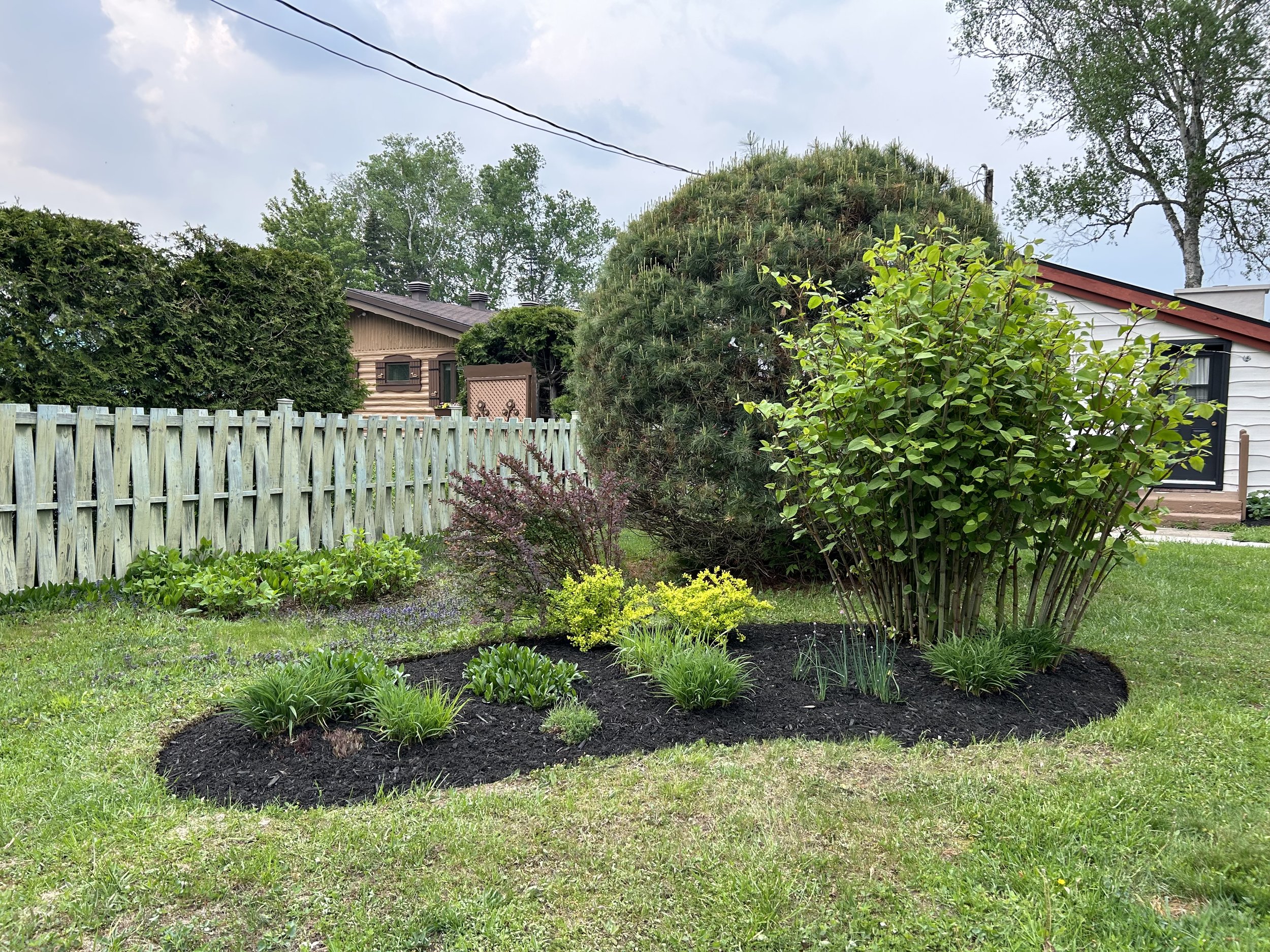 Un jardin avec des arbustes et des plantes vertes devant une clôture en bois. Il y a également des maisons en arrière-plan et un ciel nuageux.