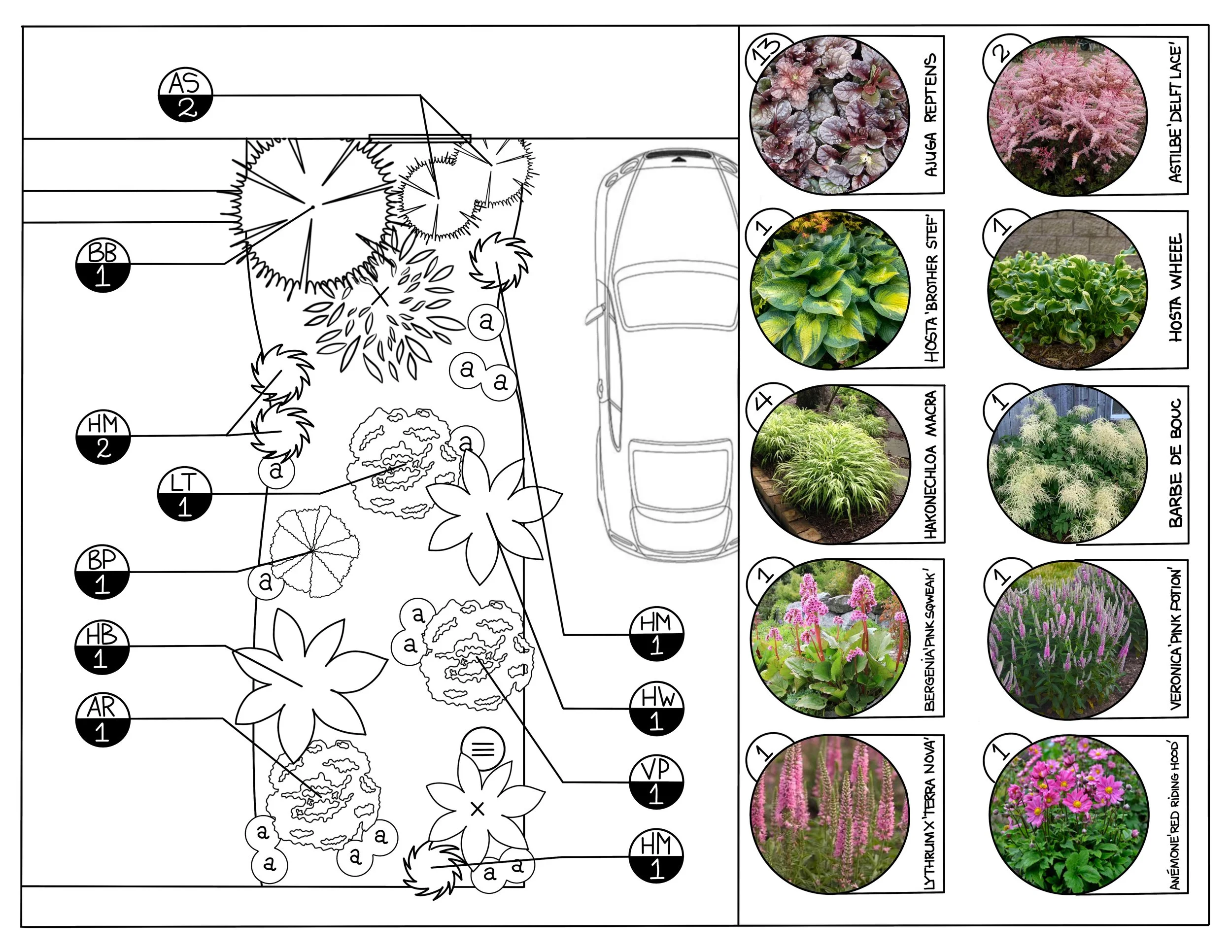 Plan d'aménagement paysager. Plan professionnel. Plan de plantation avec végétaux. Liste de végétaux. Plan. Plate-bande.