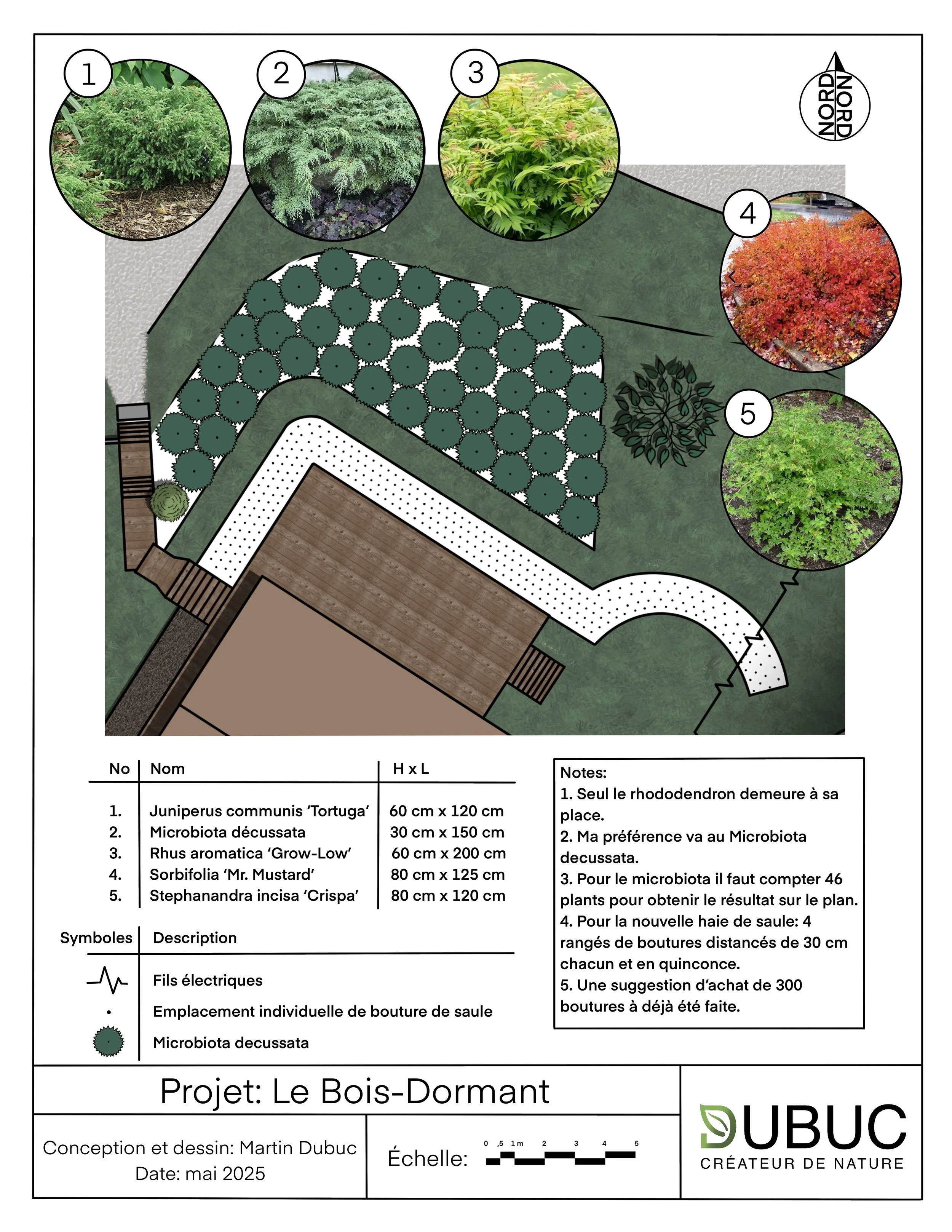 Plan d'aménagement paysager. Plan professionnel. Plan de plantation avec végétaux. Liste de végétaux. Plan.