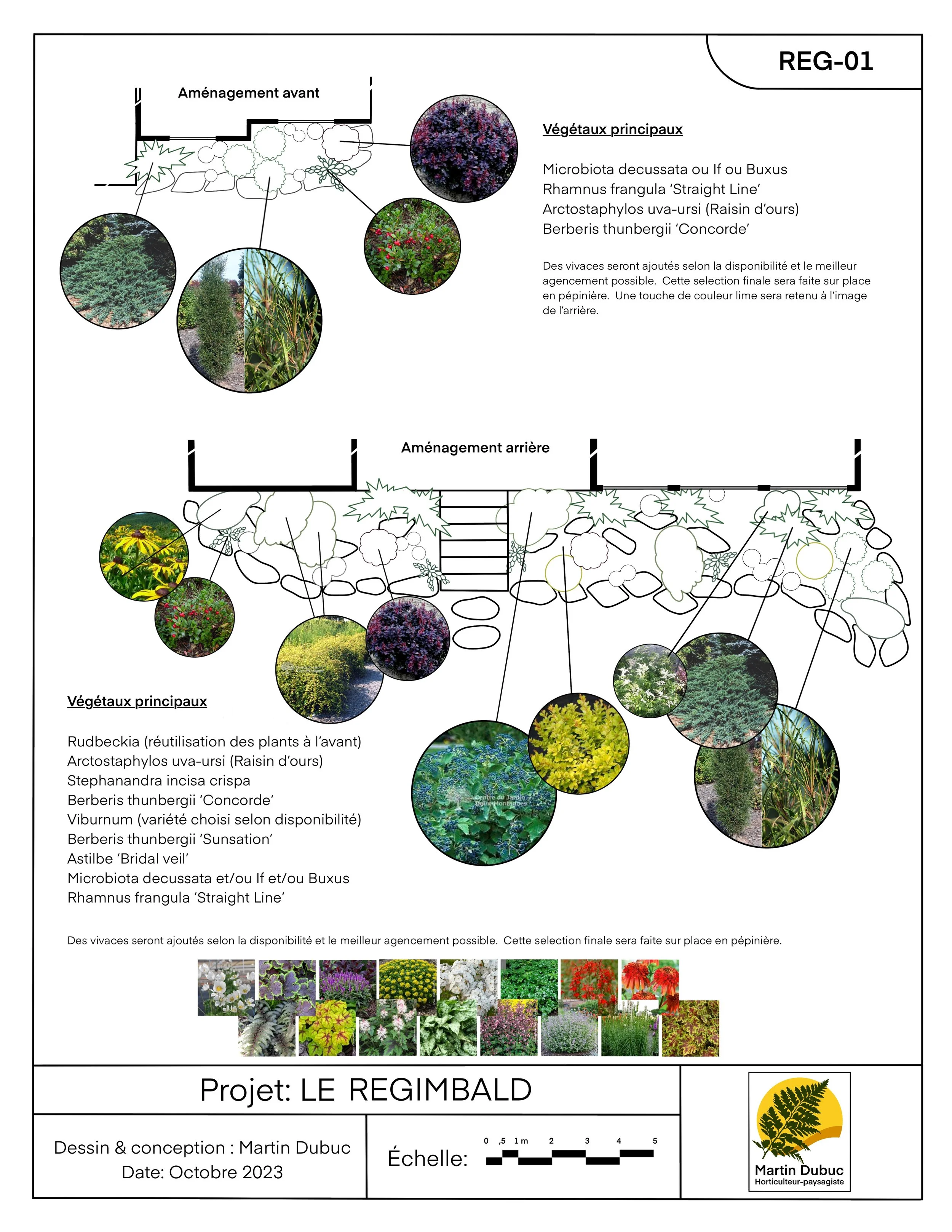 Plan d'aménagement paysager avec illustrations de plantes et listes de végétaux principaux pour l'avant et l'arrière. Comprend des noms tels que Microbiota decussata, Rhamnus frangula 'Straight Line', Arctostaphylos uva-ursi et Berberis thunbergii 'Concorde'. Projet intitulé LE REGIMBALD, dessiné par Martin Dubuc, octobre 2023.