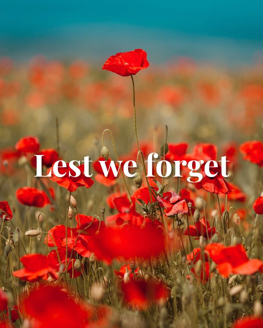 Lest We Forget.

This Anzac Day, we pause to honour and remember the brave men and women who have served and sacrificed for our country.

Thank you to all who have served, past and present.

We will remember them. 🌅