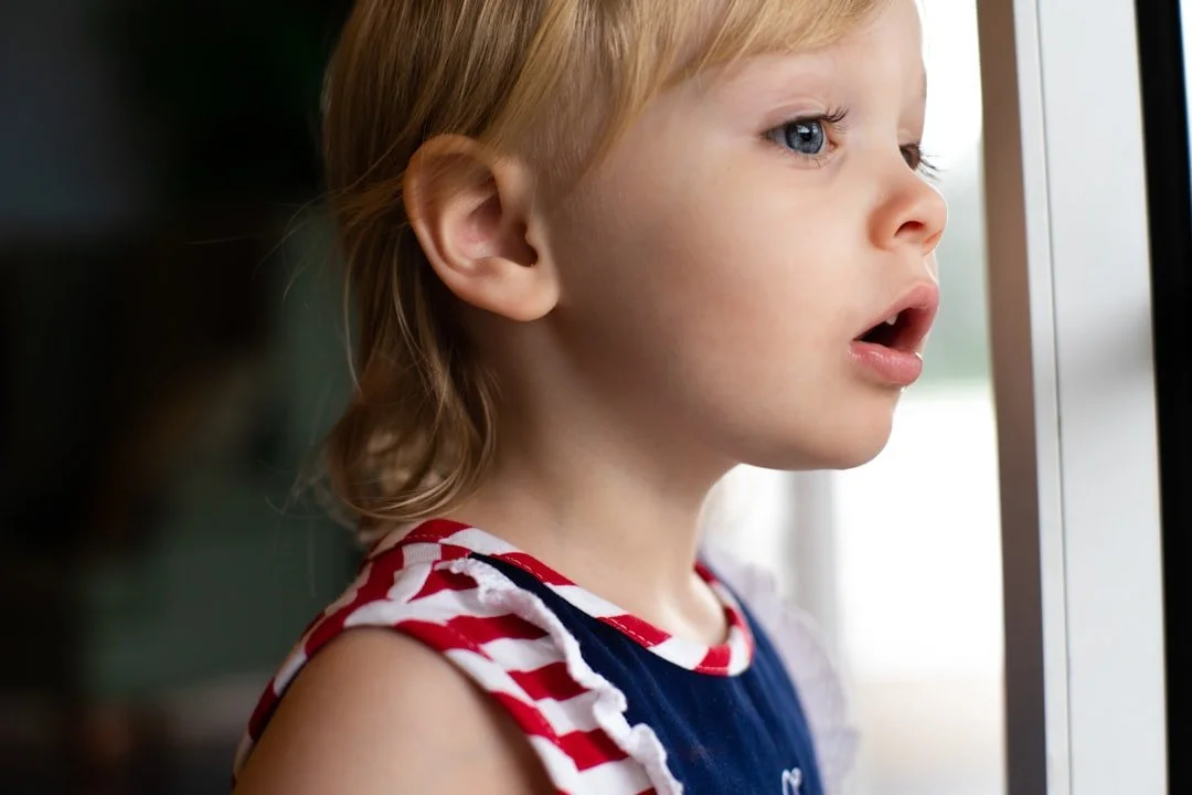 child staring out window in hypoarousal state as taught in therapy