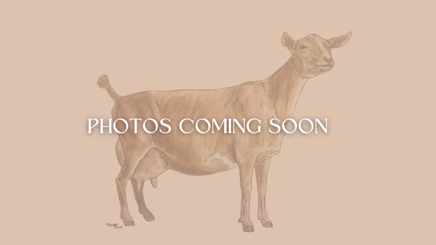 Screen Shot 2025-01-20 at 3.23.50 PM.png