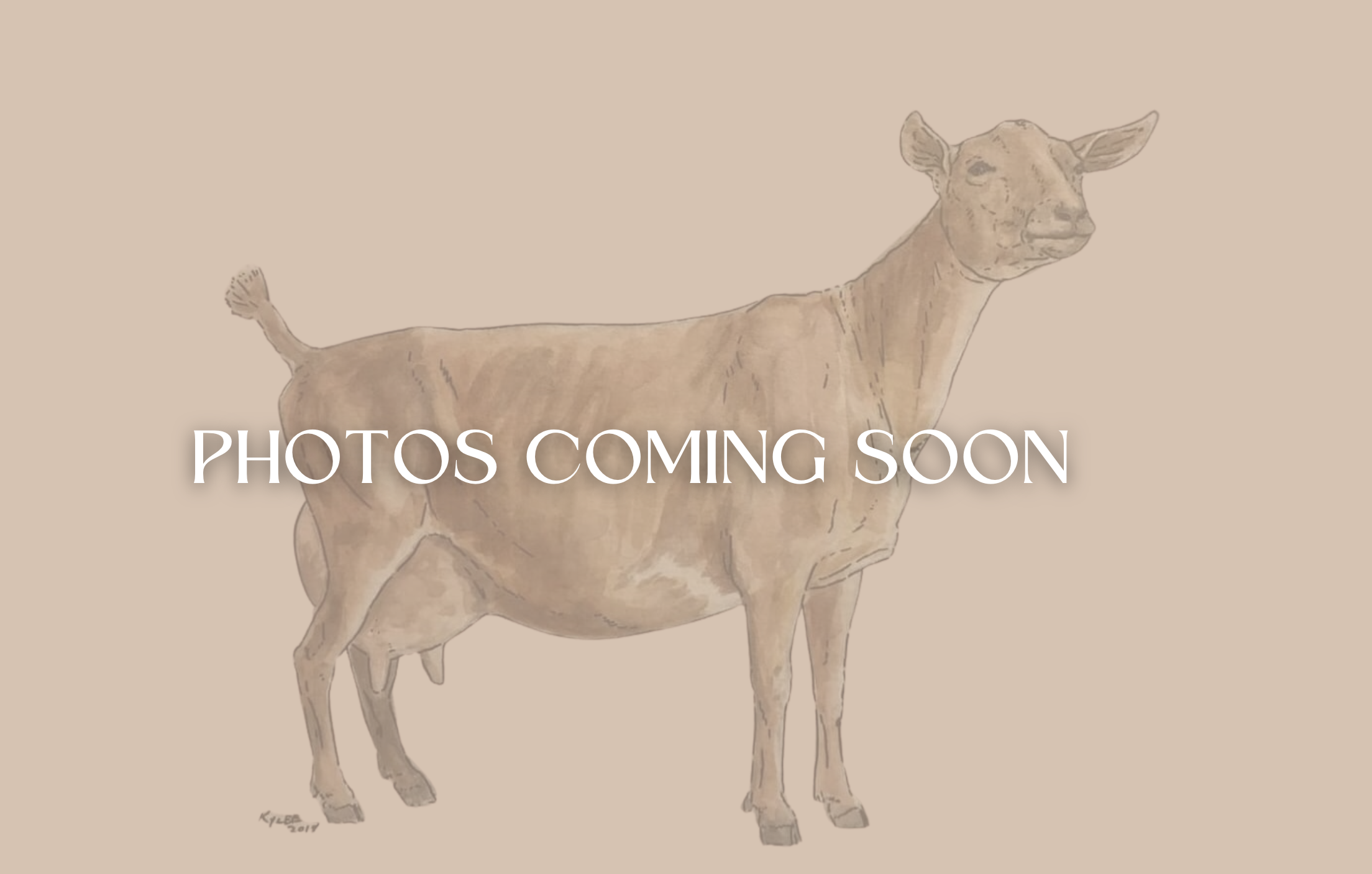 FIESTA TEXAS GQ BEST MAN