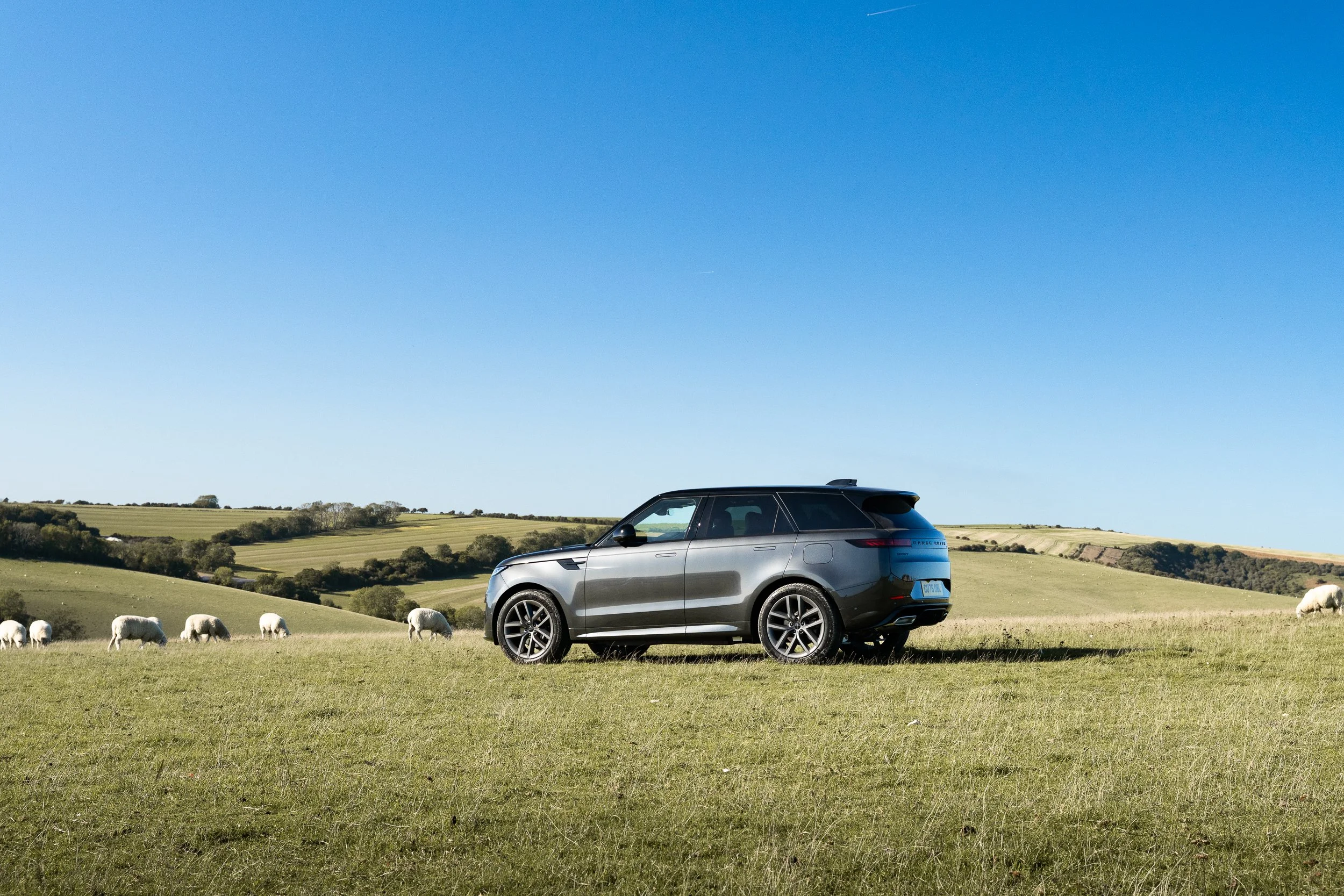 Range Rover Sport in an open landscape with grazing sheep