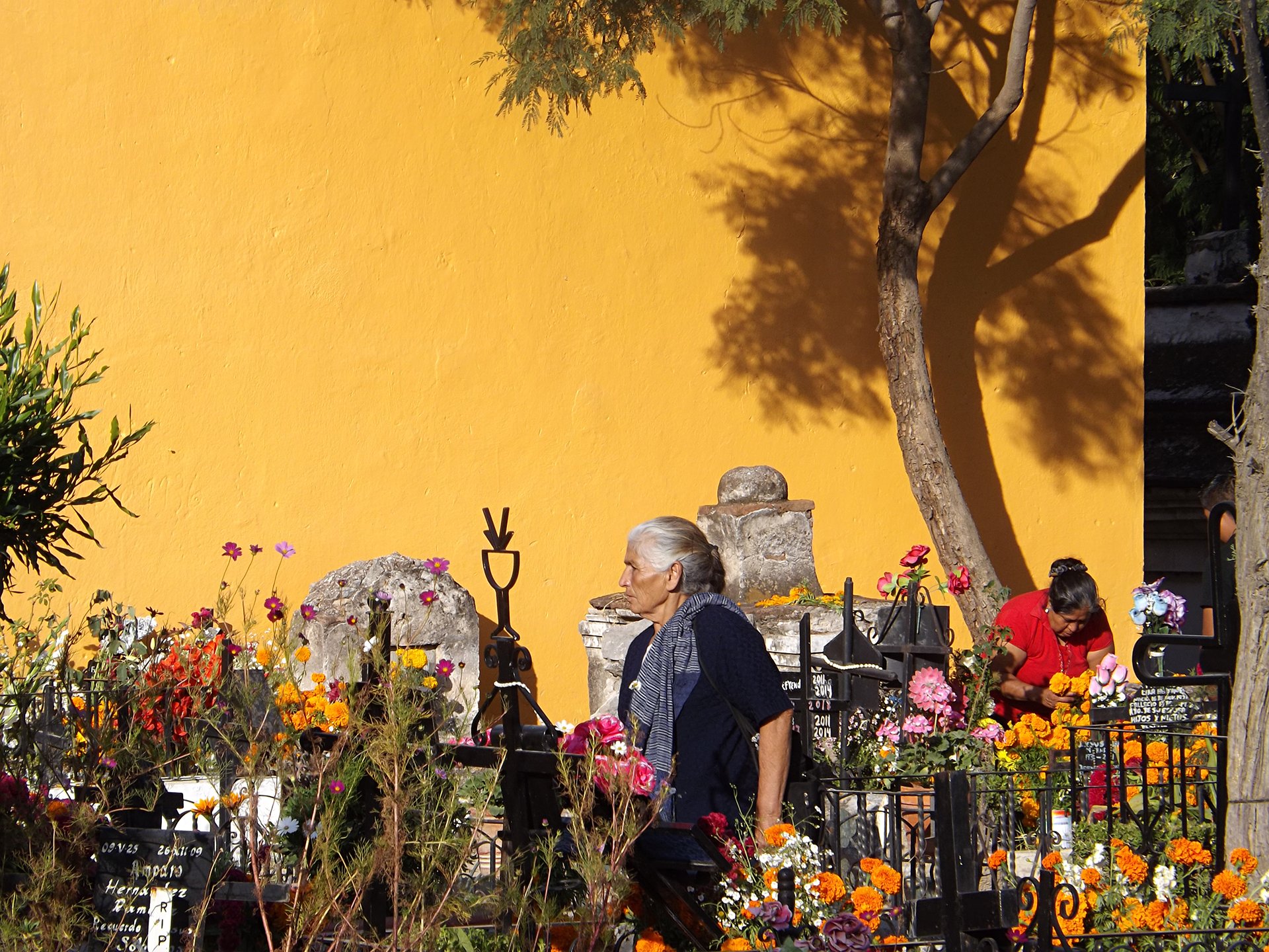 Día de Muertos 2014 - presente