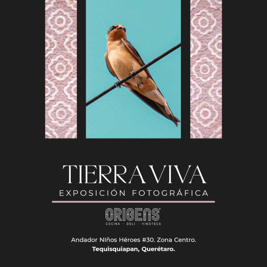 Tierra Viva