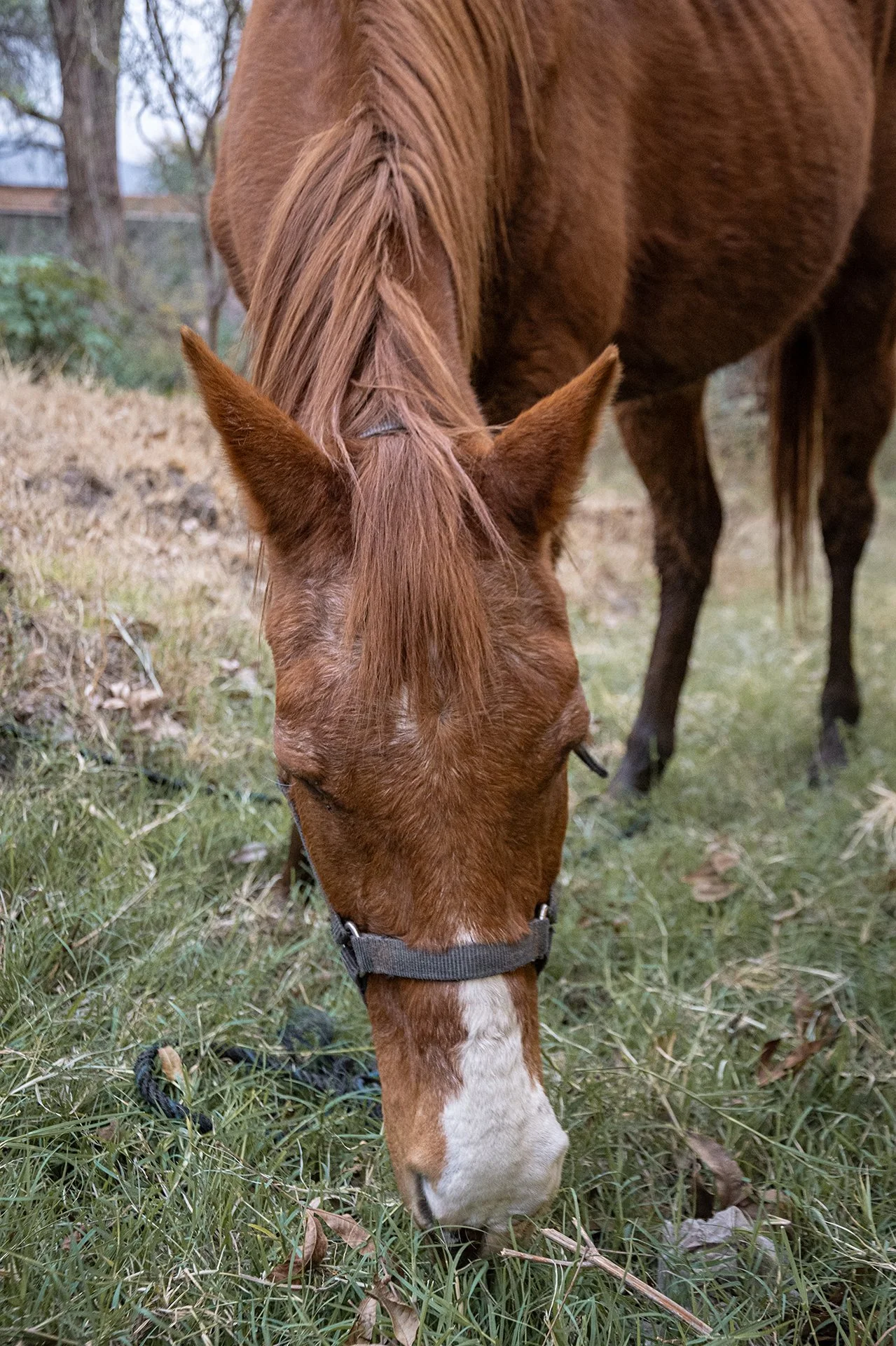 _DSC2162web.jpg