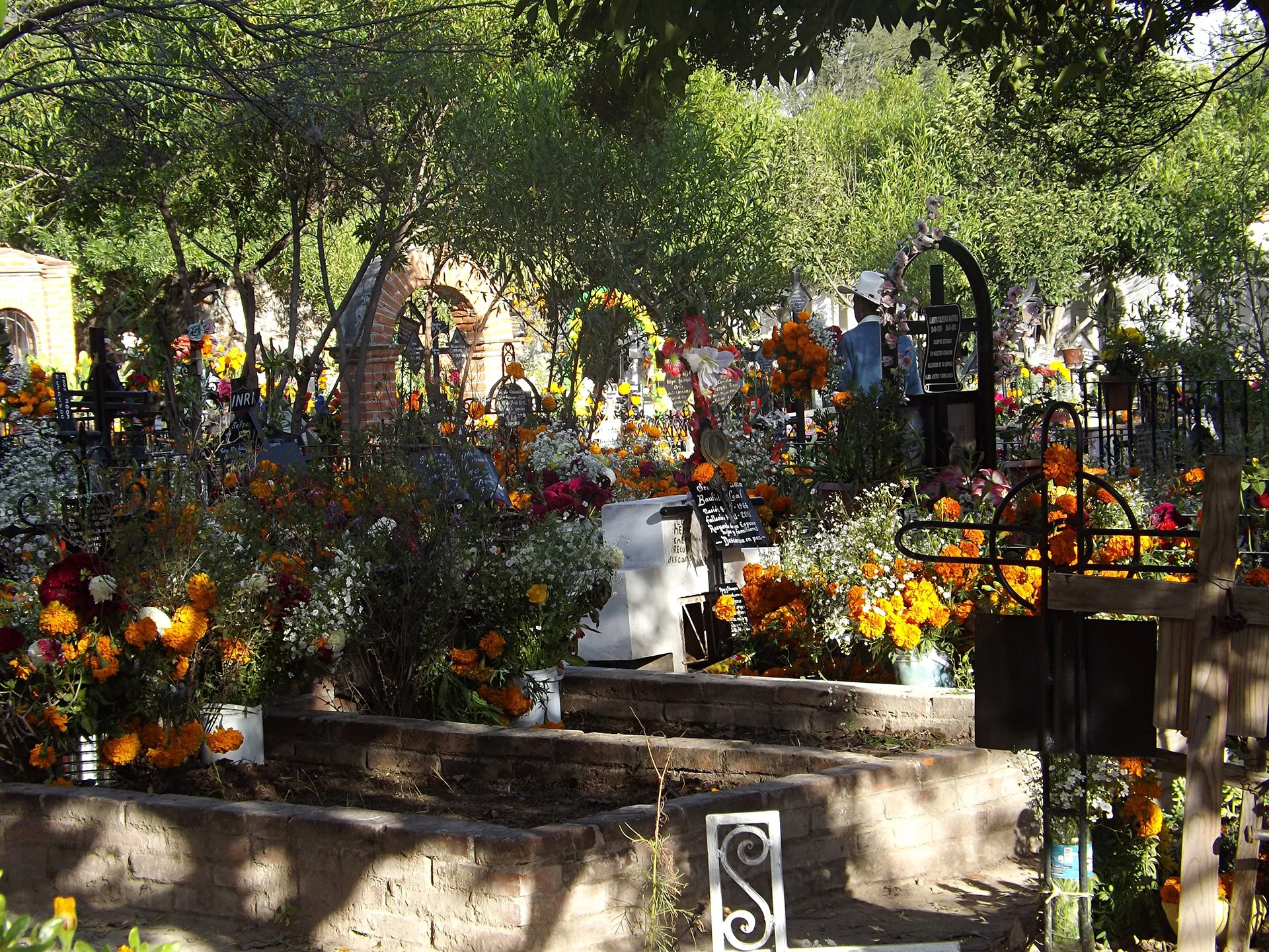 DSCF5380.jpg