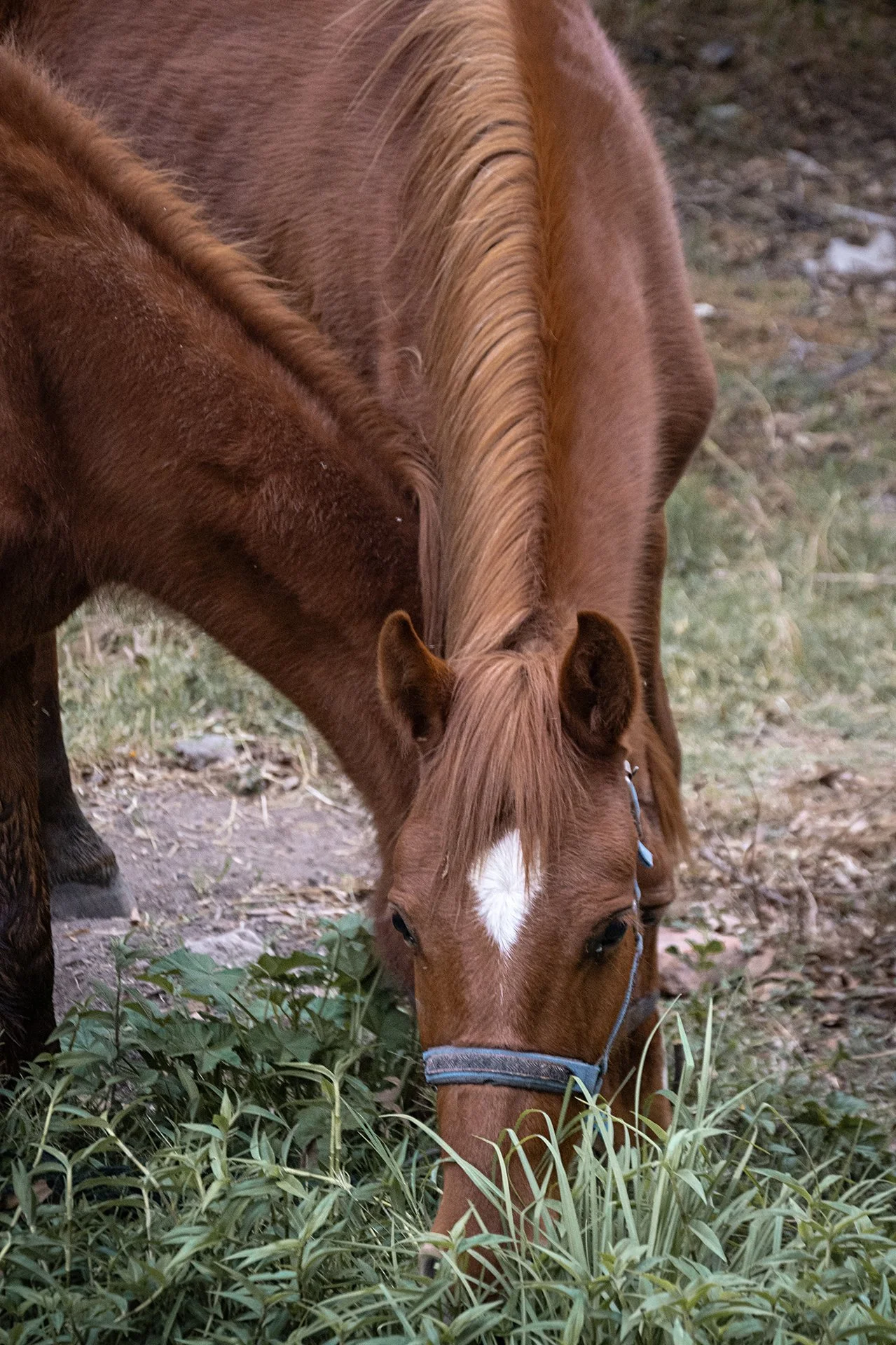 _DSC2180web.jpg