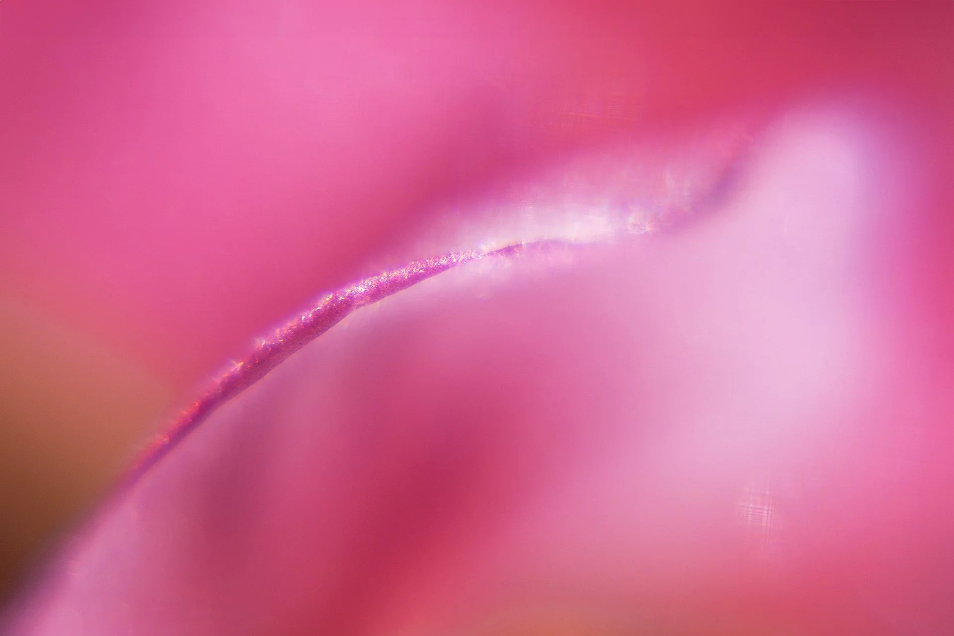 _DSC2560 copyweb.jpg