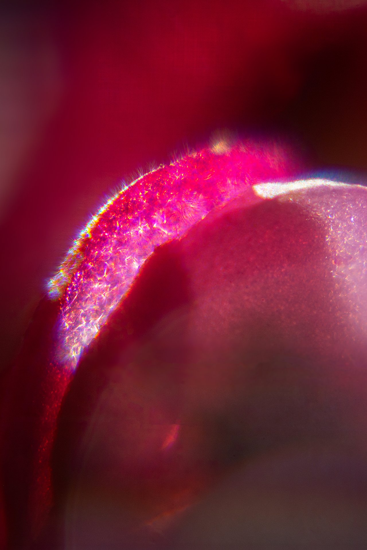 _DSC2615 copyweb.jpg