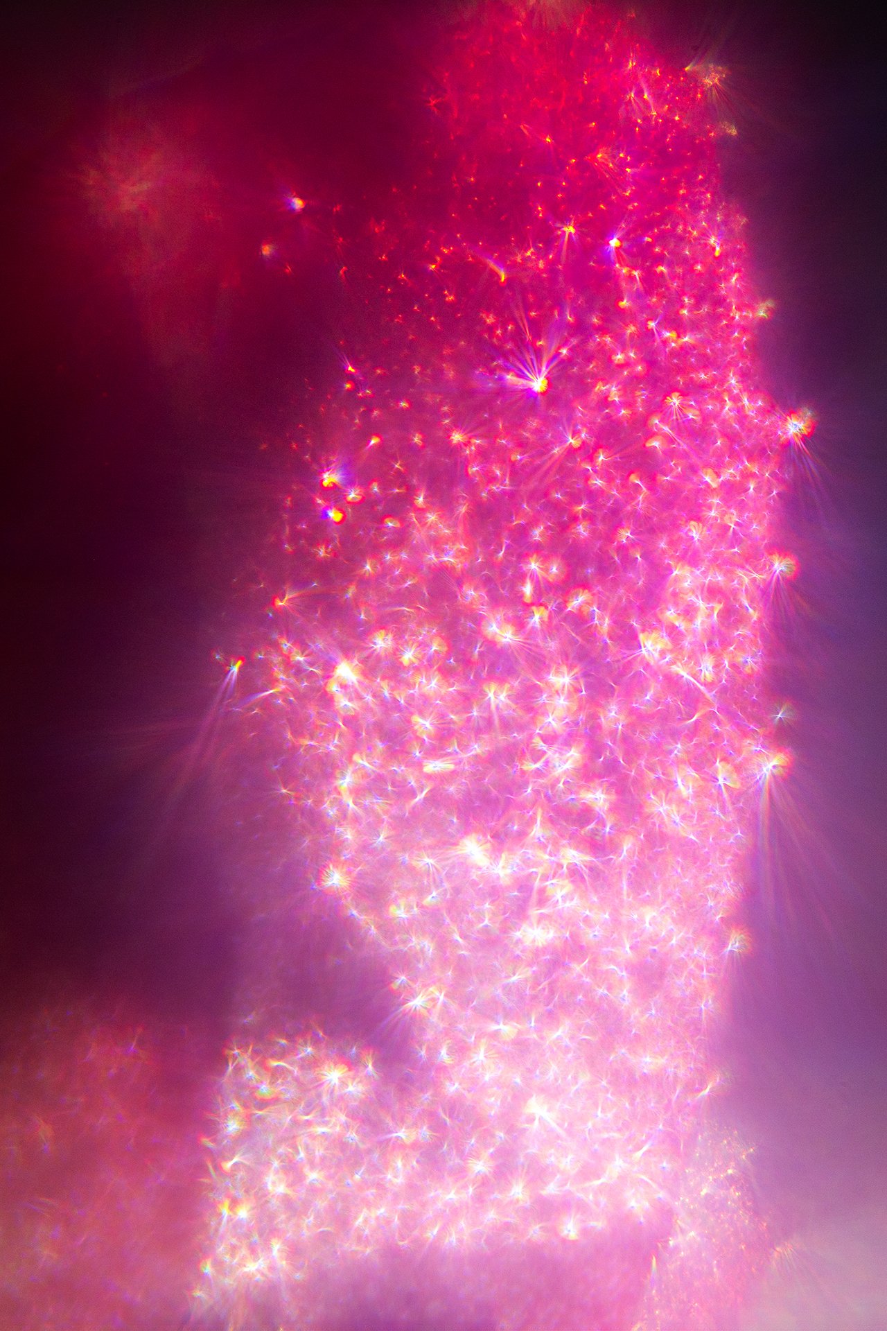 _DSC2610 copyweb.jpg