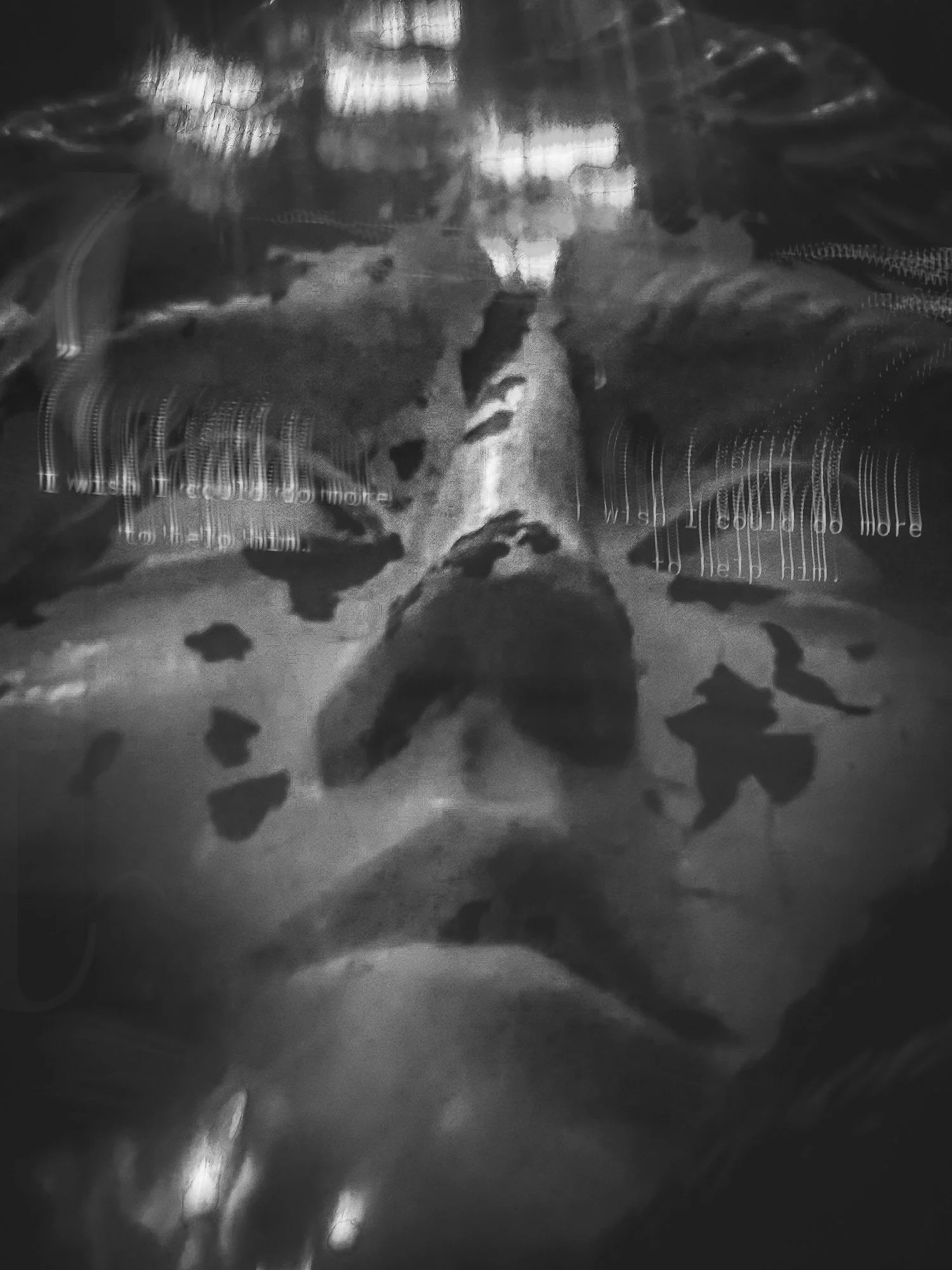 E13D95B4-B725-4B7B-A1D8-50E2E73D5FB0-38874-00001A7684706303.jpg