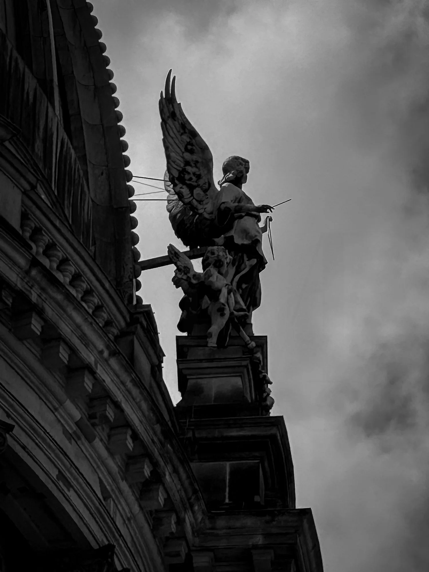 IMG_7659.jpg
