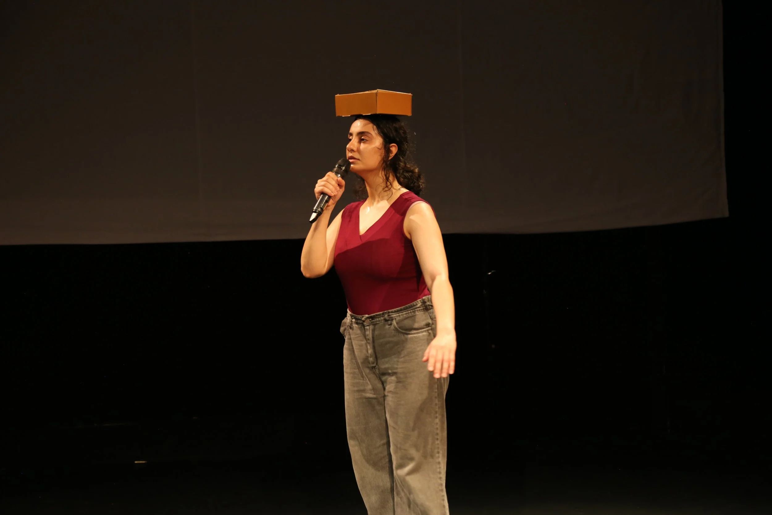 Alireza Khosroabadi-Theatre-maker-Headless