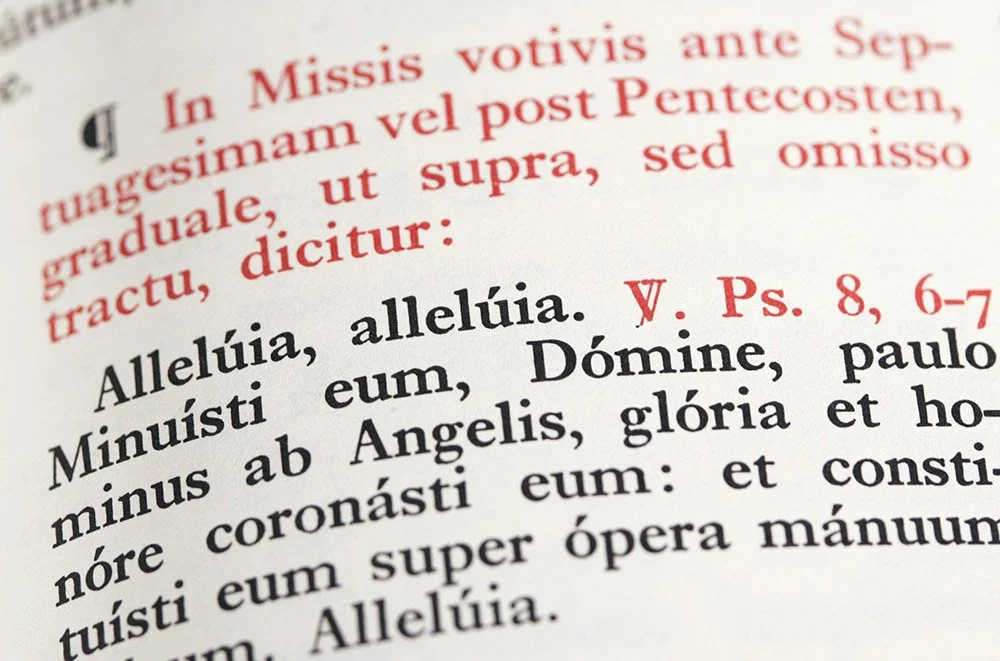 Learn Traditional Latin Catholic Prayers, Pronunciation Guide, Meaning ...