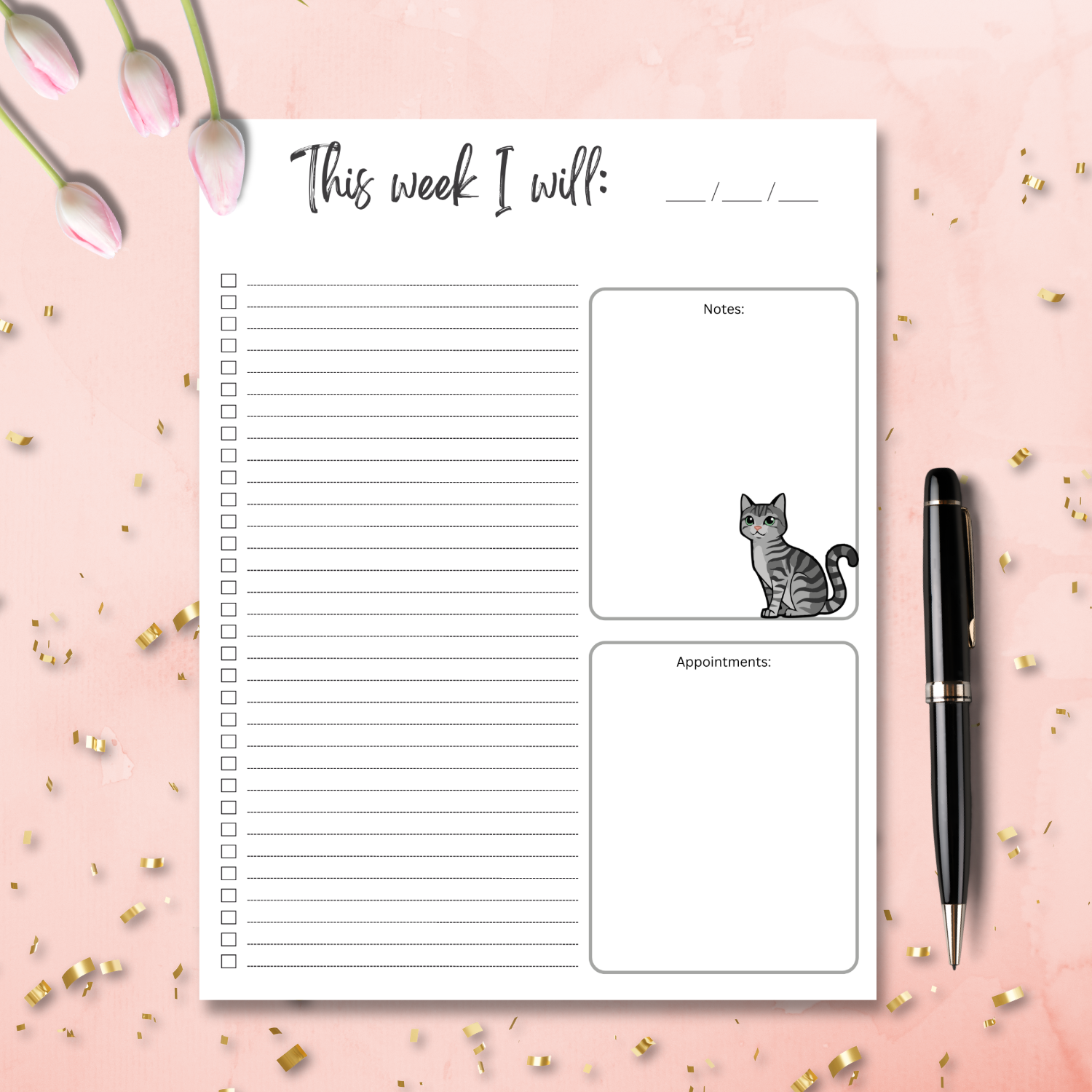 CatsPhoto Backdrop (1500 x 1500 px).png