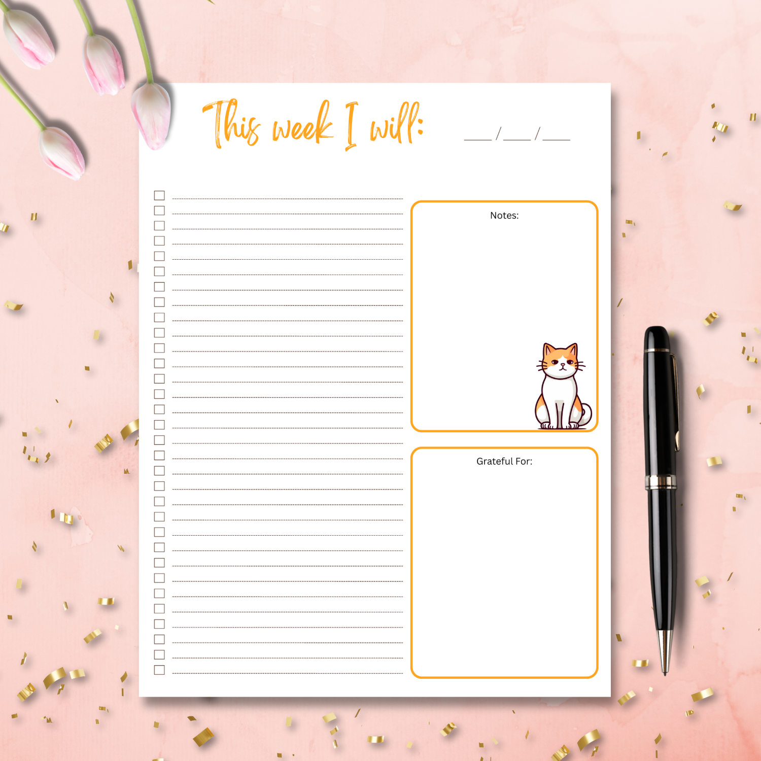 Cats5Photo Backdrop (1500 x 1500 px).png