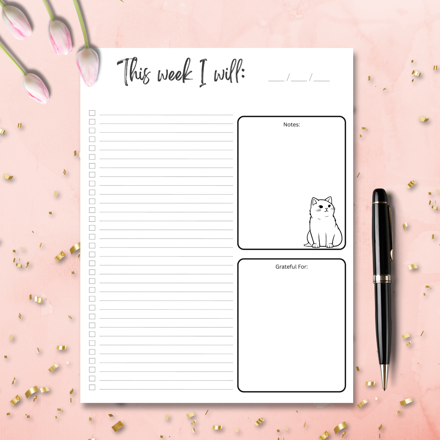 Cats1Photo Backdrop (1500 x 1500 px).png