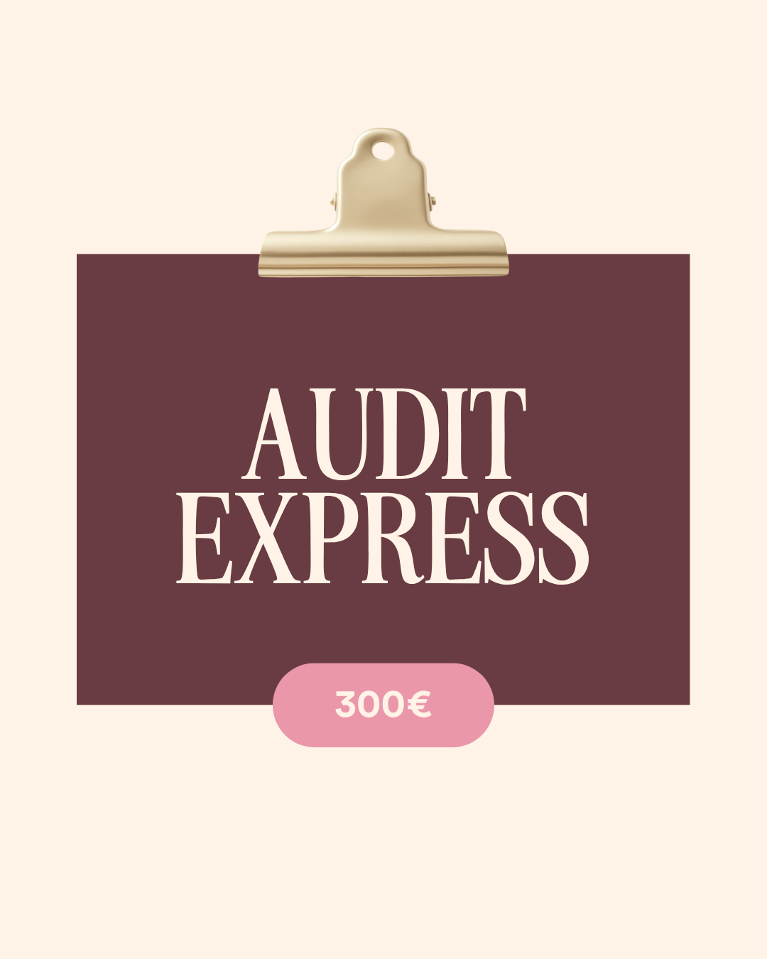Audit Express
