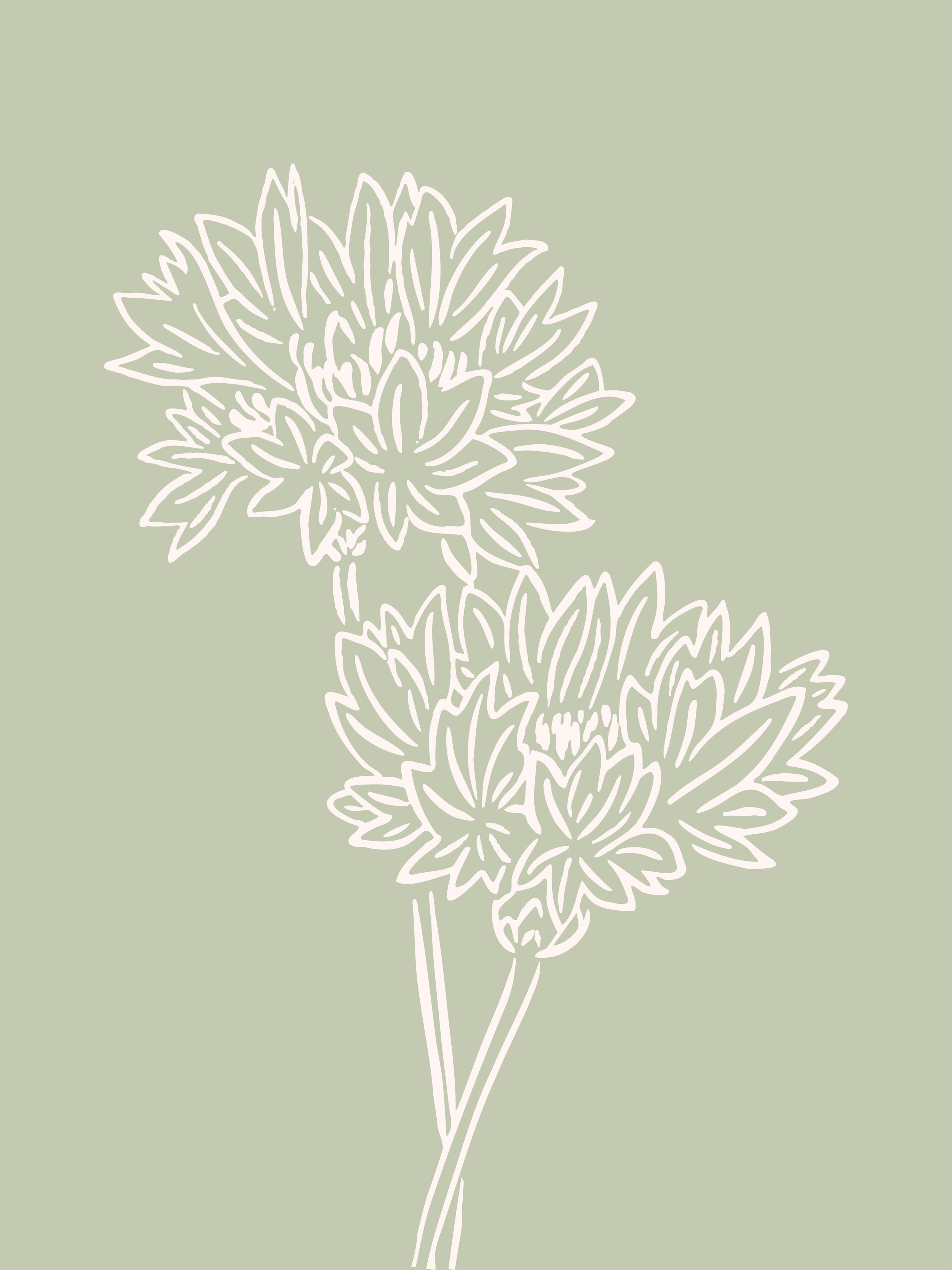 Zoom sur le bleuet dessiné à la main pour l'image de marque stratégique de Fleur Bleue, fleuriste à Chevreuse