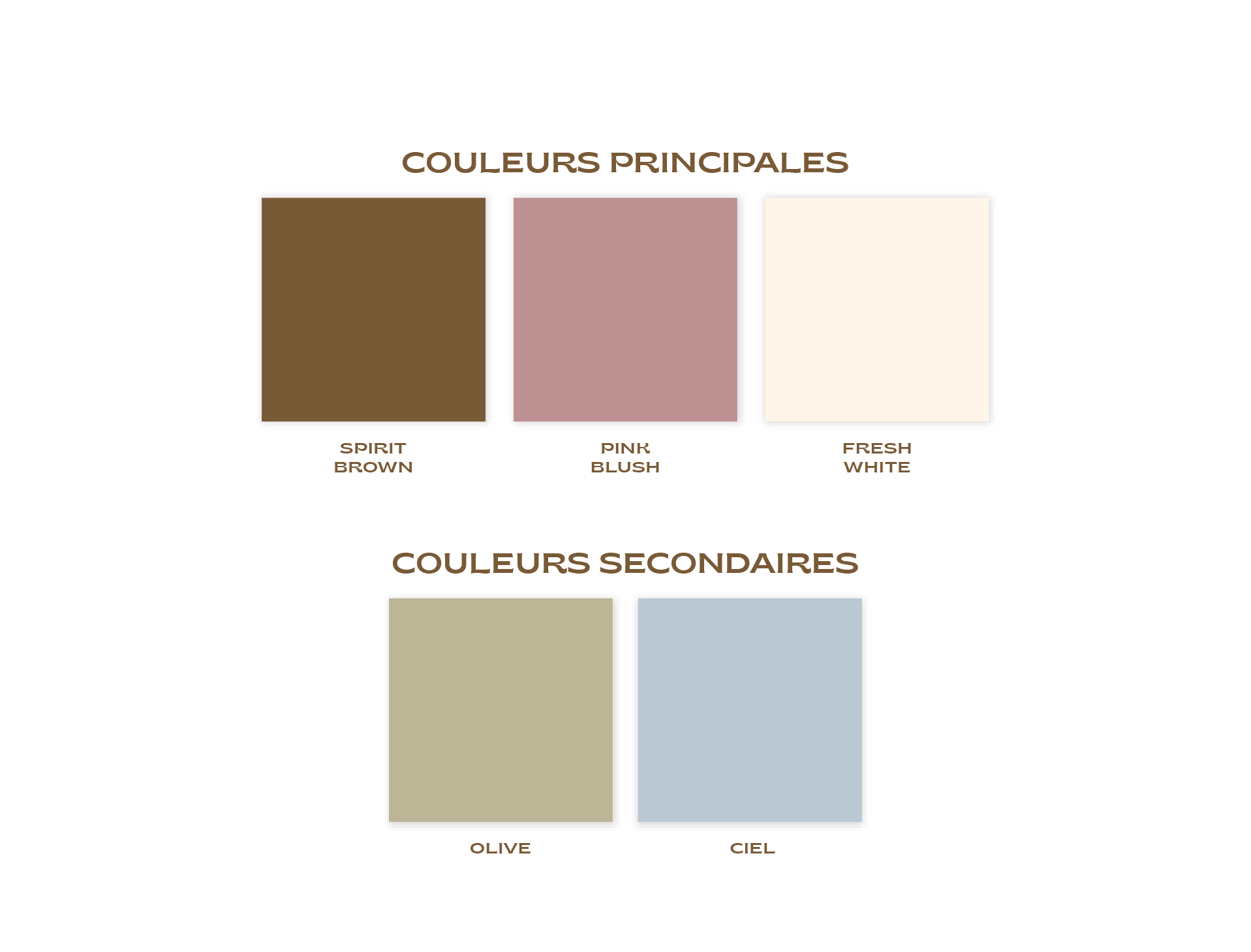 La palette colorée nuances et couleurs de l'image de marque identité visuelle de J'Consult