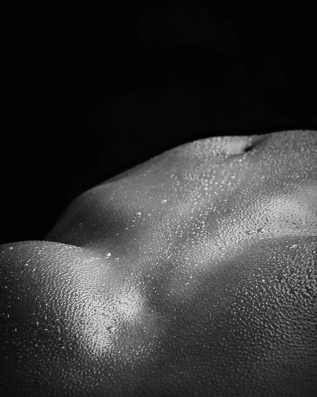 Nahaufnahme eines nackten weiblichen Körpers mit Wassertröpfchen auf der Haut, bei Schwarz-Weiß-Fotografie.