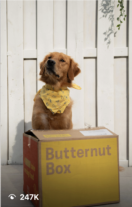 UGC portfolio - Butternut Box