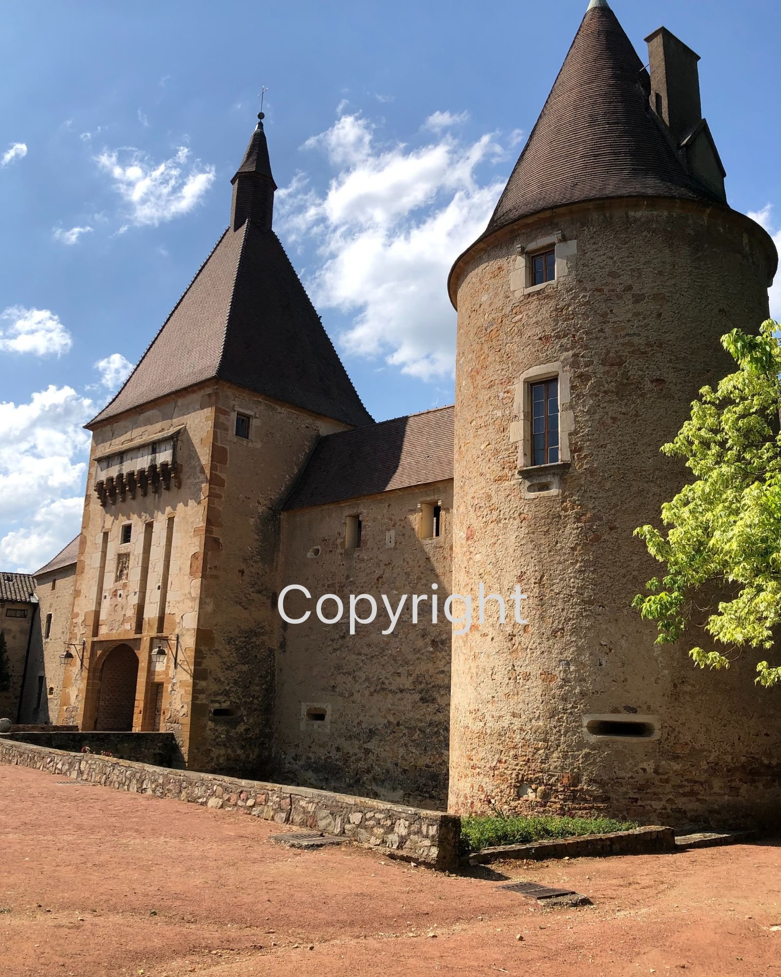 Castle grounds in a Lyon vineyard (1).jpg