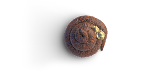 Process of Motion Design Course Chapter 3 - Creative is like finding gold nugget in a turd