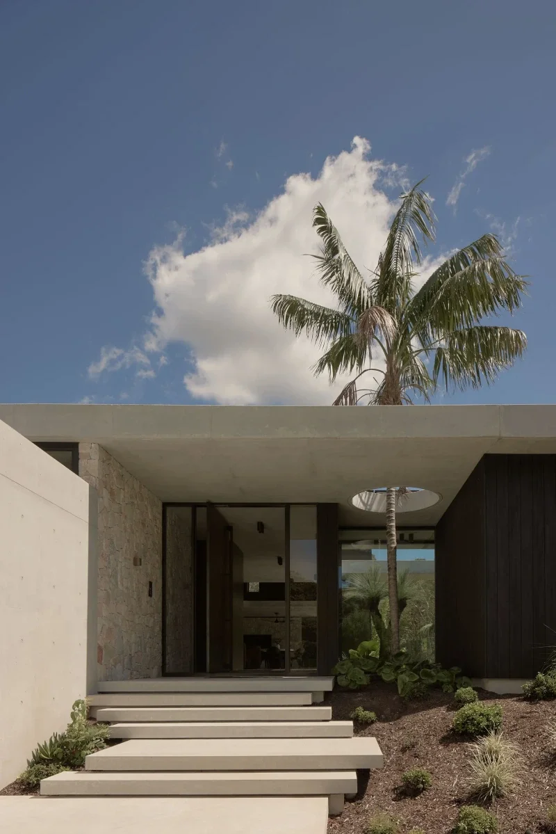 Contemporary architect-designed home nestled in Sunshine Coast bushland — HIVE Architecture Palm tree