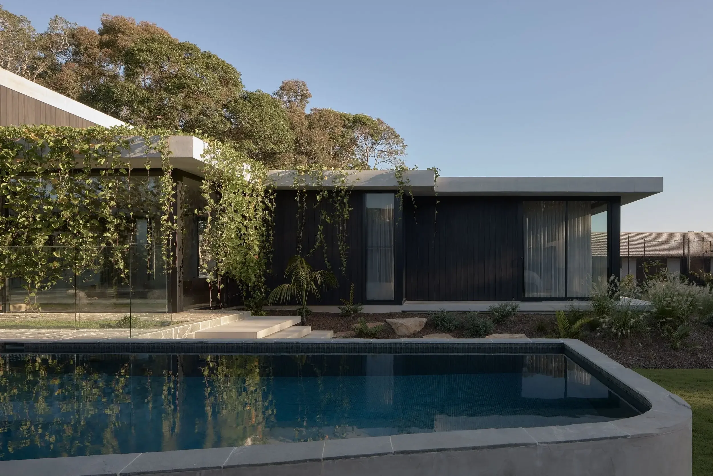 Pool area with roof garden and indoor-outdoor connection, Sunshine Coast residential architect