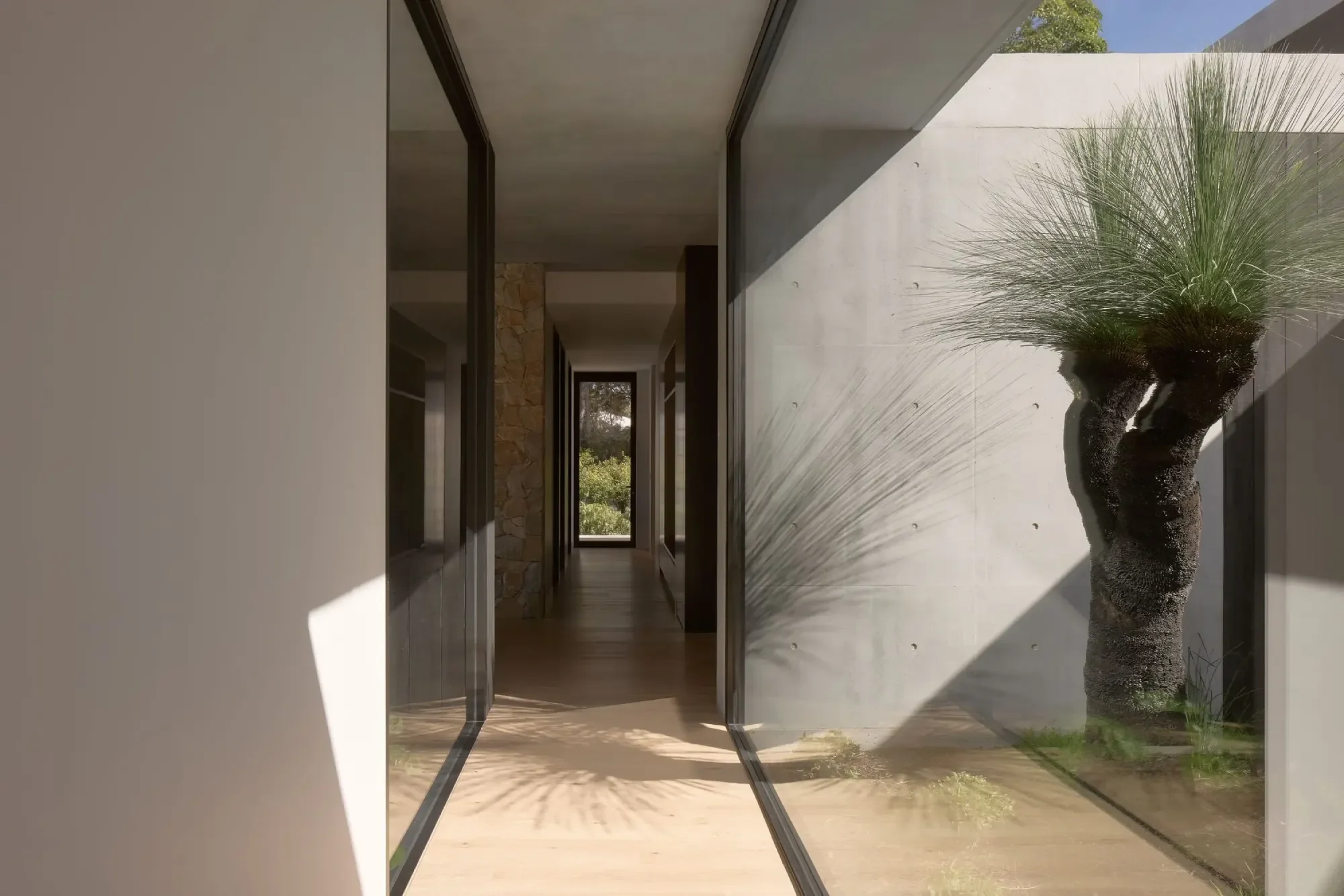Hallway with framed garden view, carefully considered residential design Sunshine Coast — HIVE Architecture