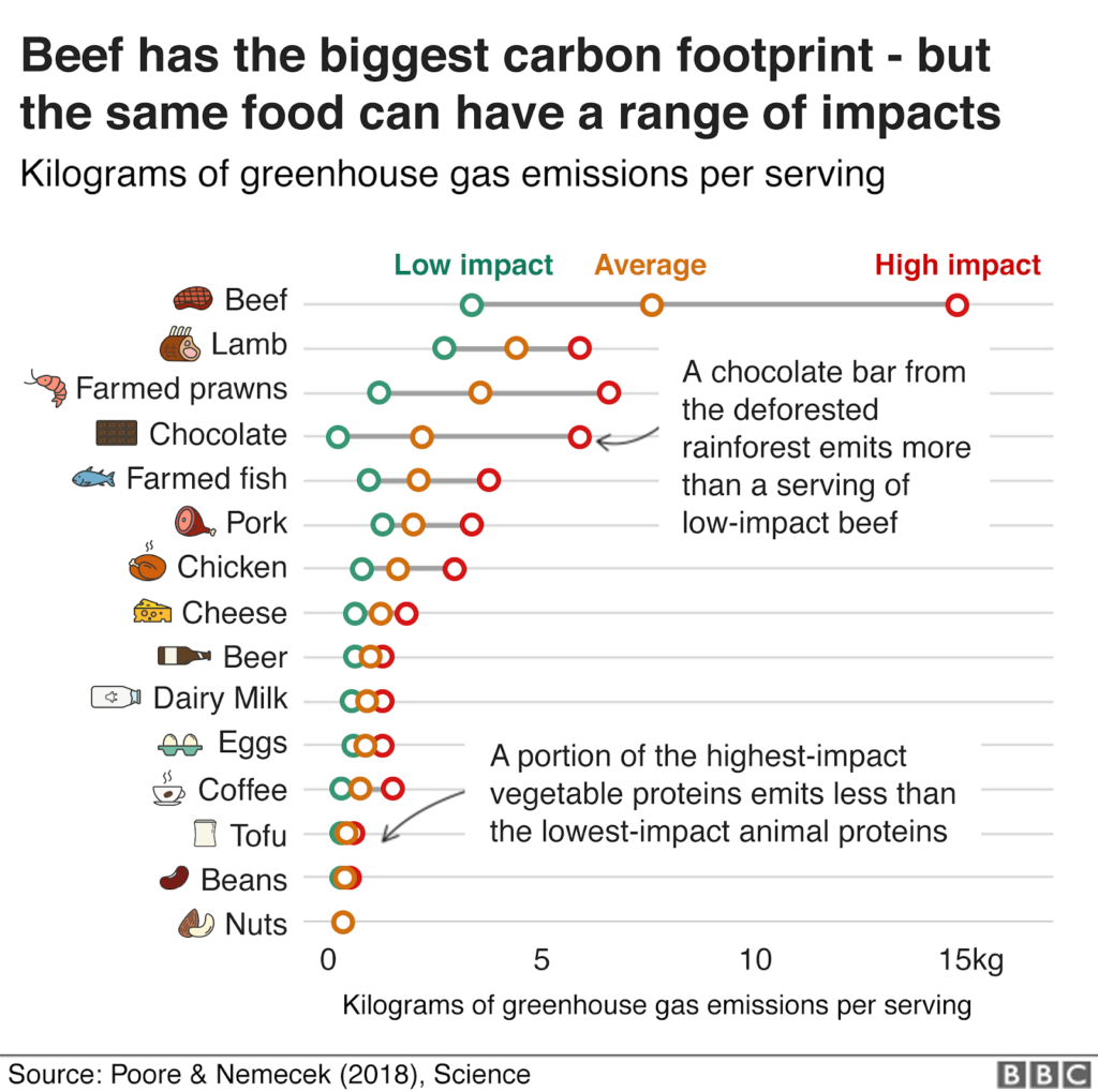 The Poore &amp; Nemecek Study: Food's Environmental Impact