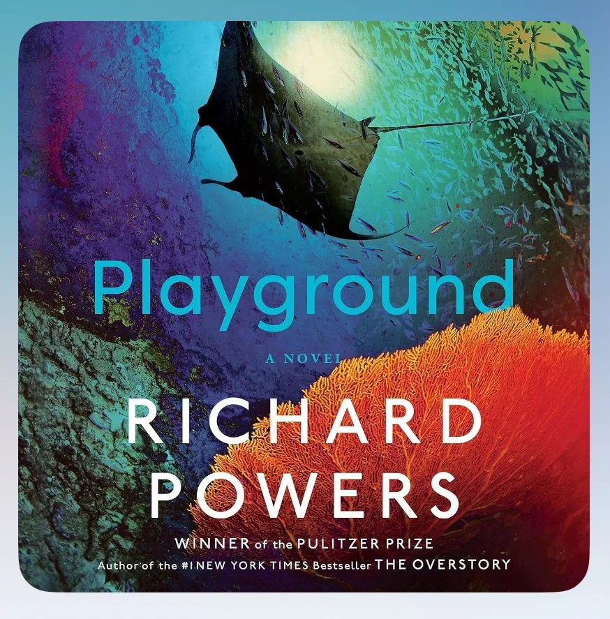 Playground - A Reflection on Climate Change