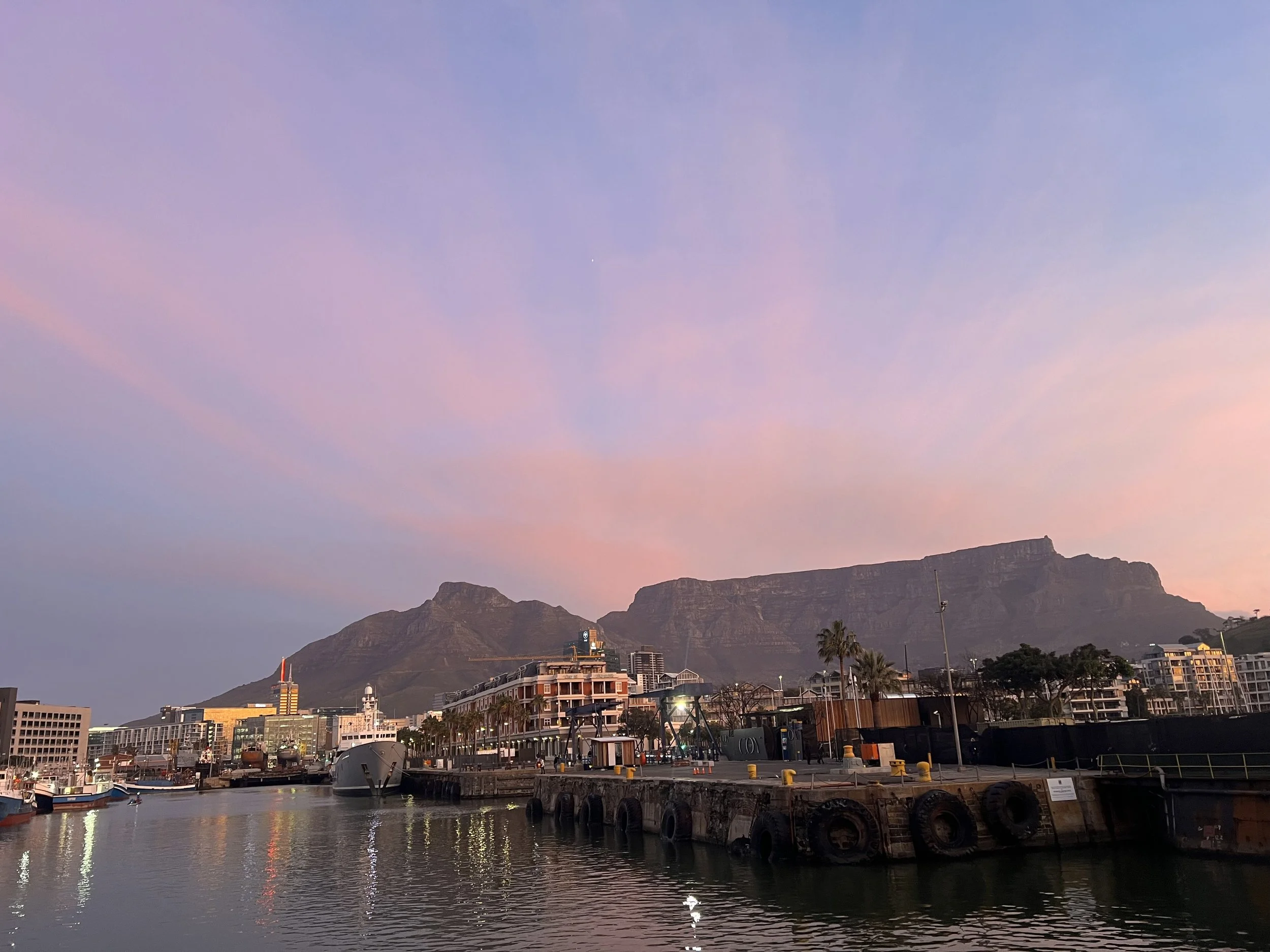 The South African Vegan Scene